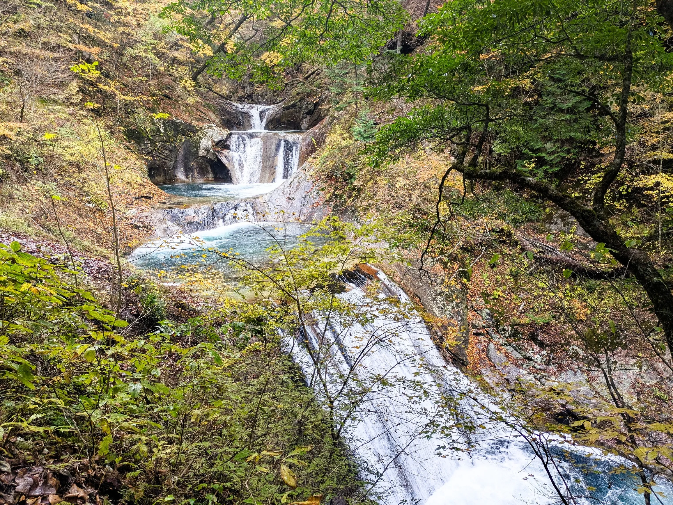 たむら鍼灸整骨院のイメージ