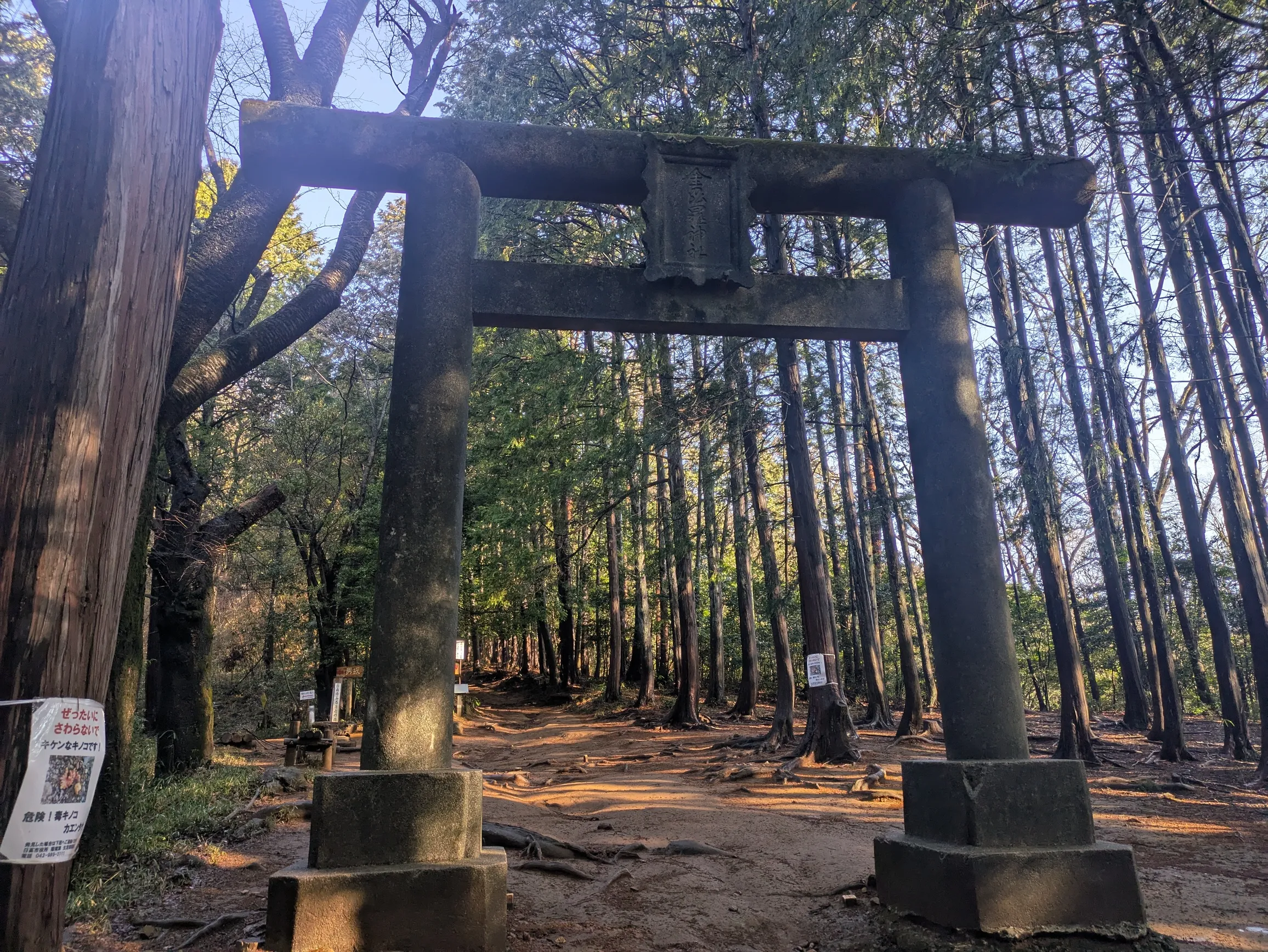 たむら鍼灸整骨院のイメージ