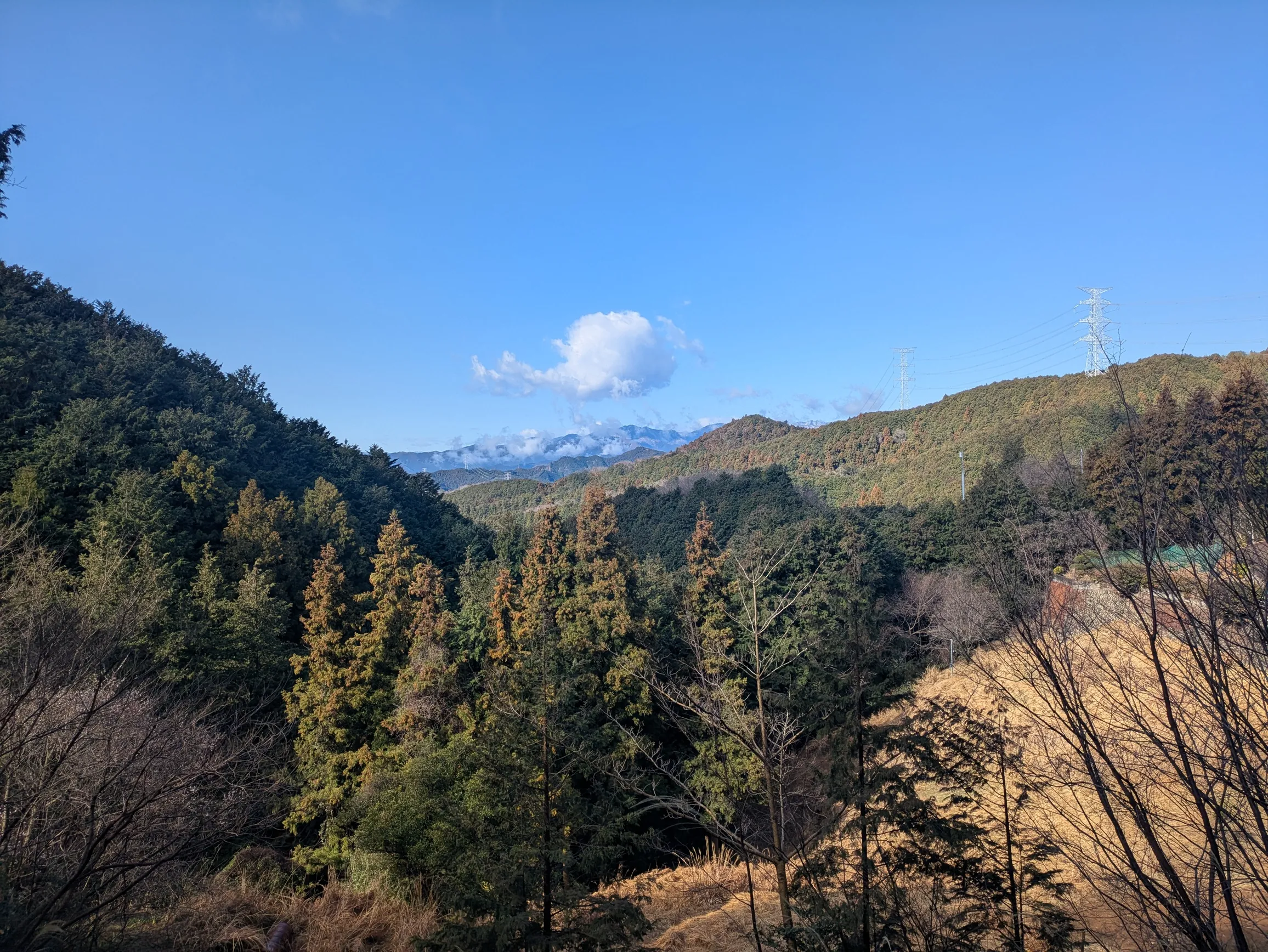 たむら鍼灸整骨院のイメージ