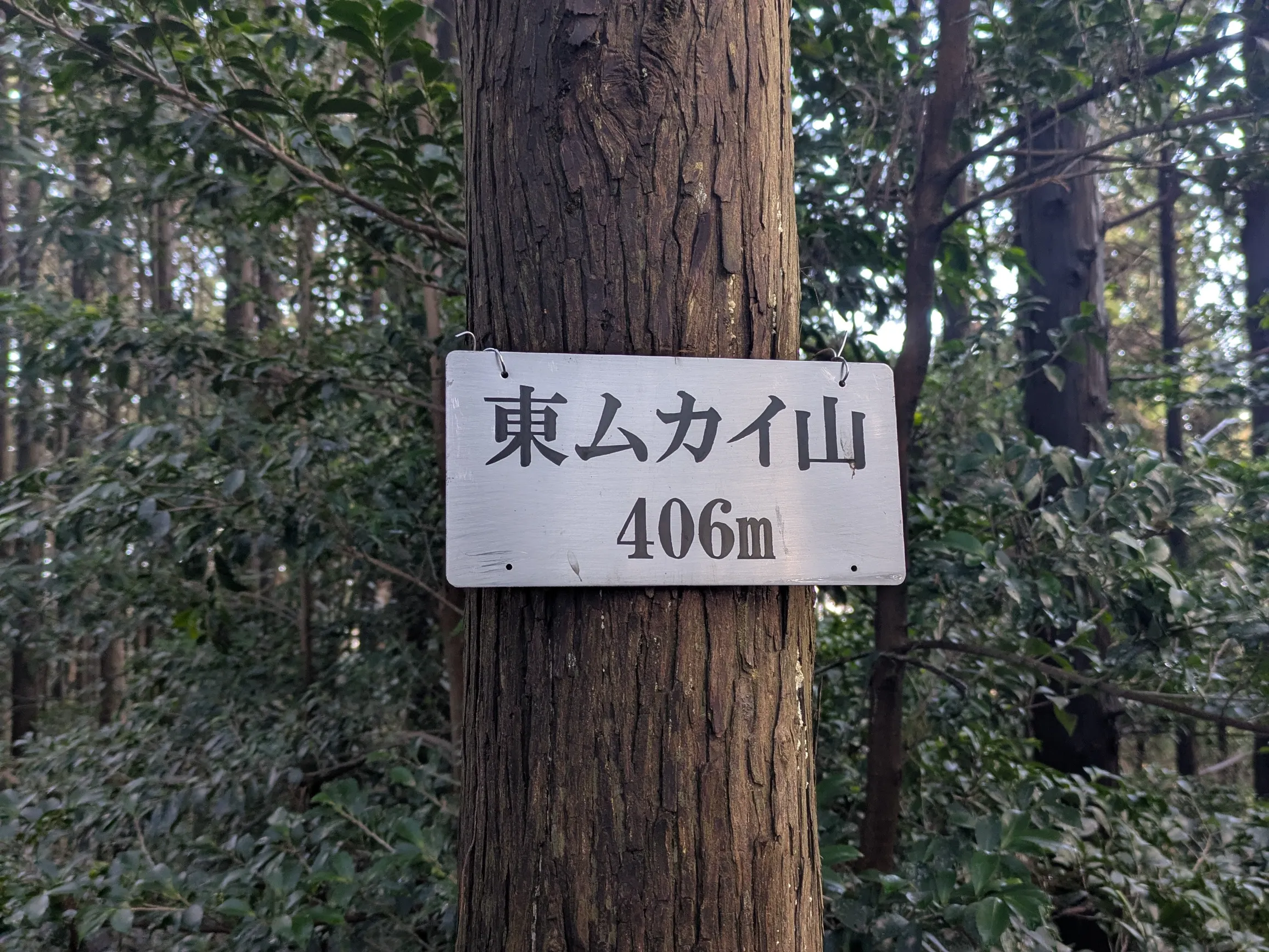 たむら鍼灸整骨院のイメージ