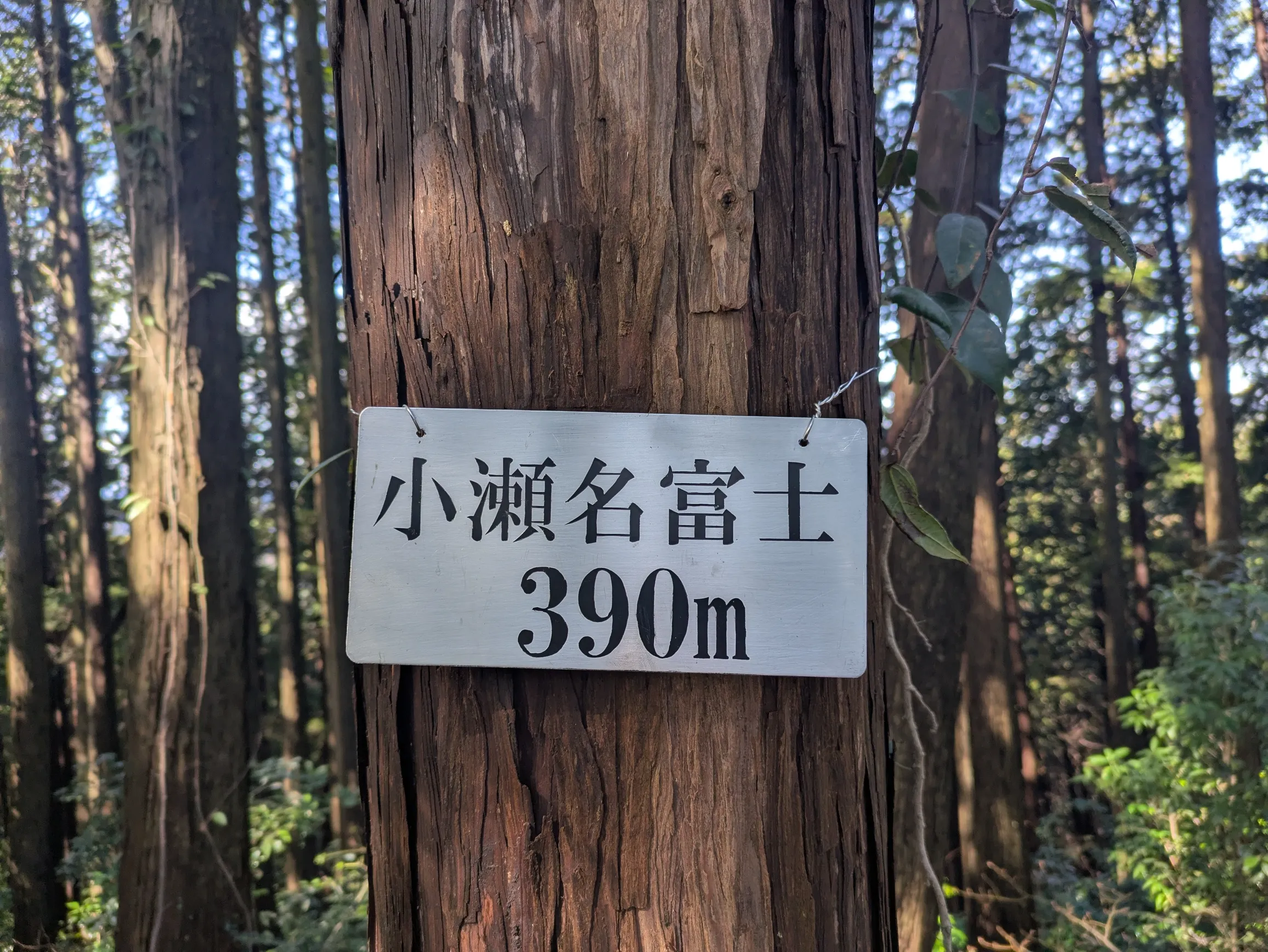 たむら鍼灸整骨院のイメージ
