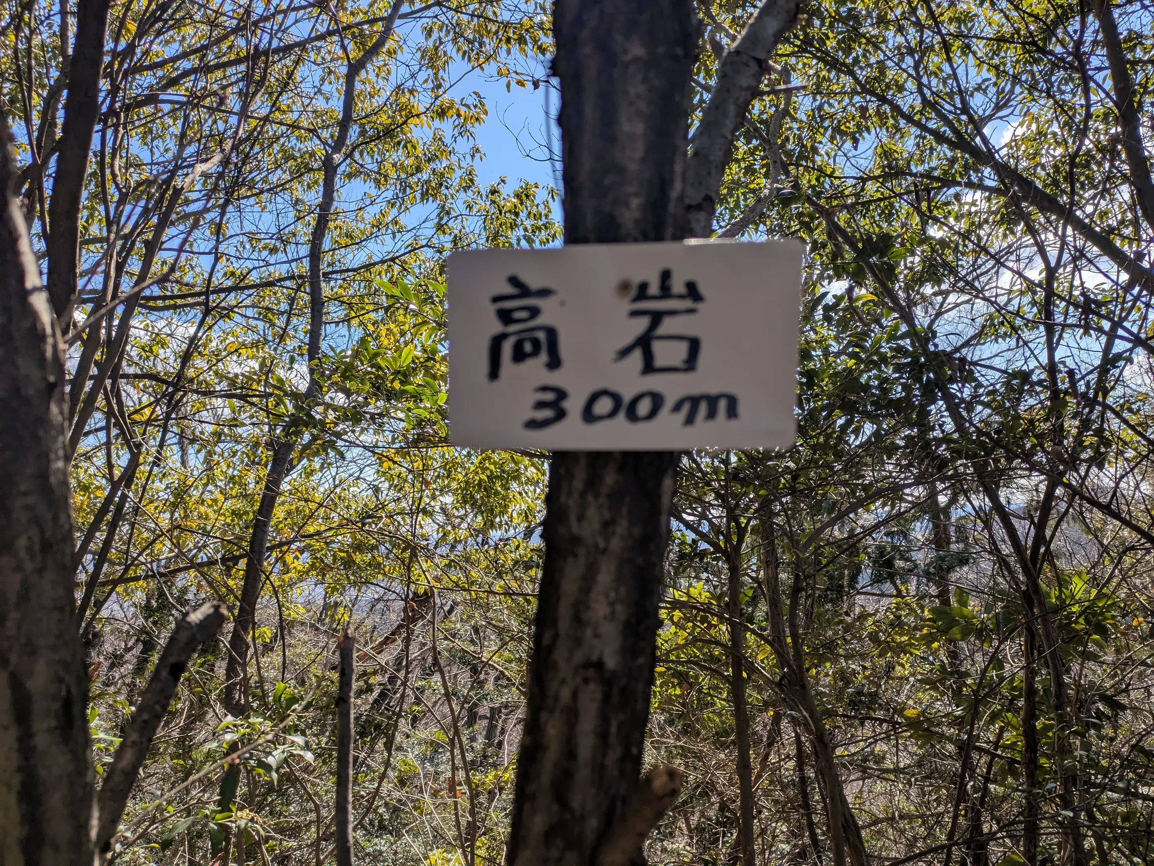 たむら鍼灸整骨院のイメージ