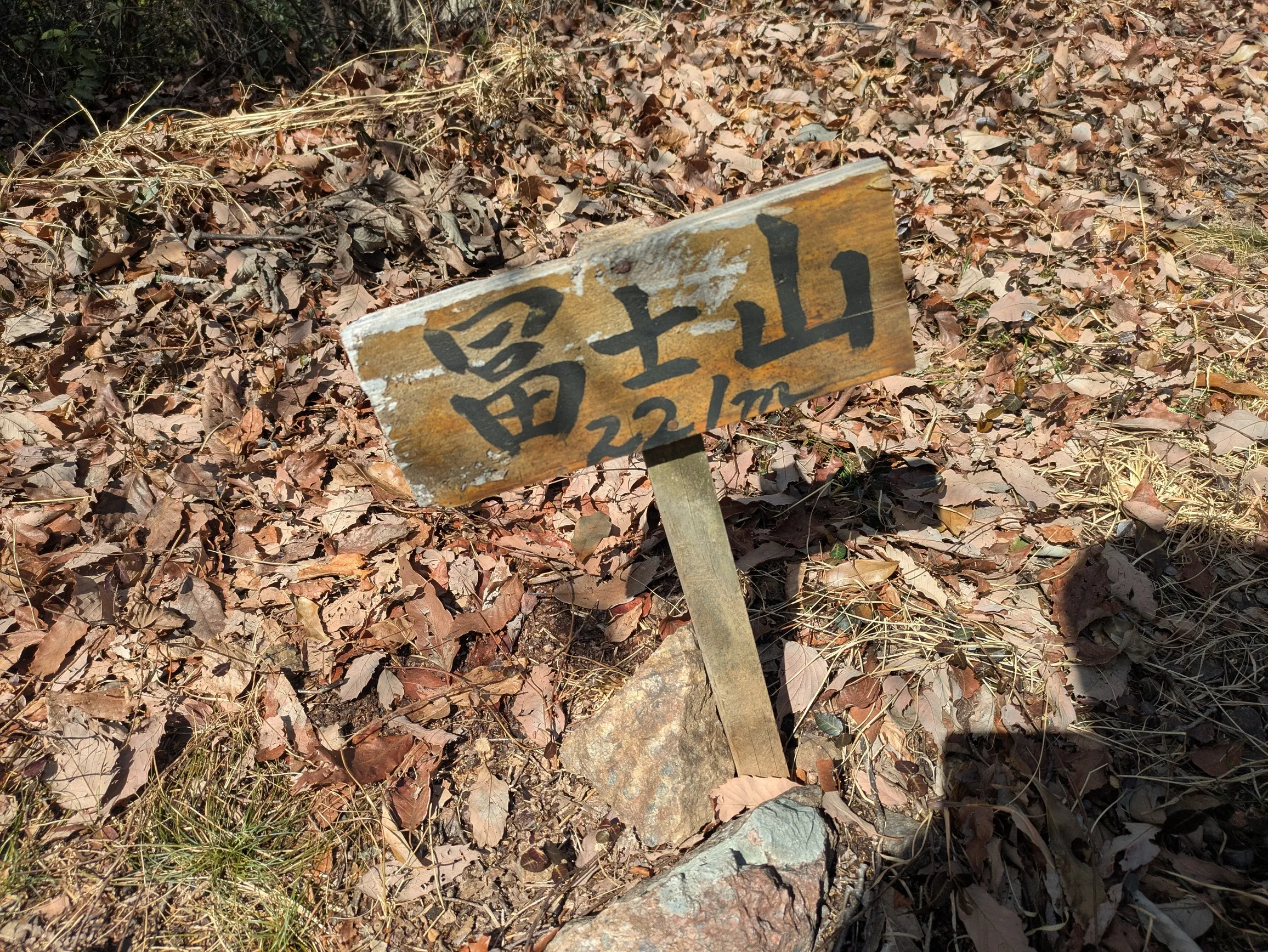たむら鍼灸整骨院のイメージ