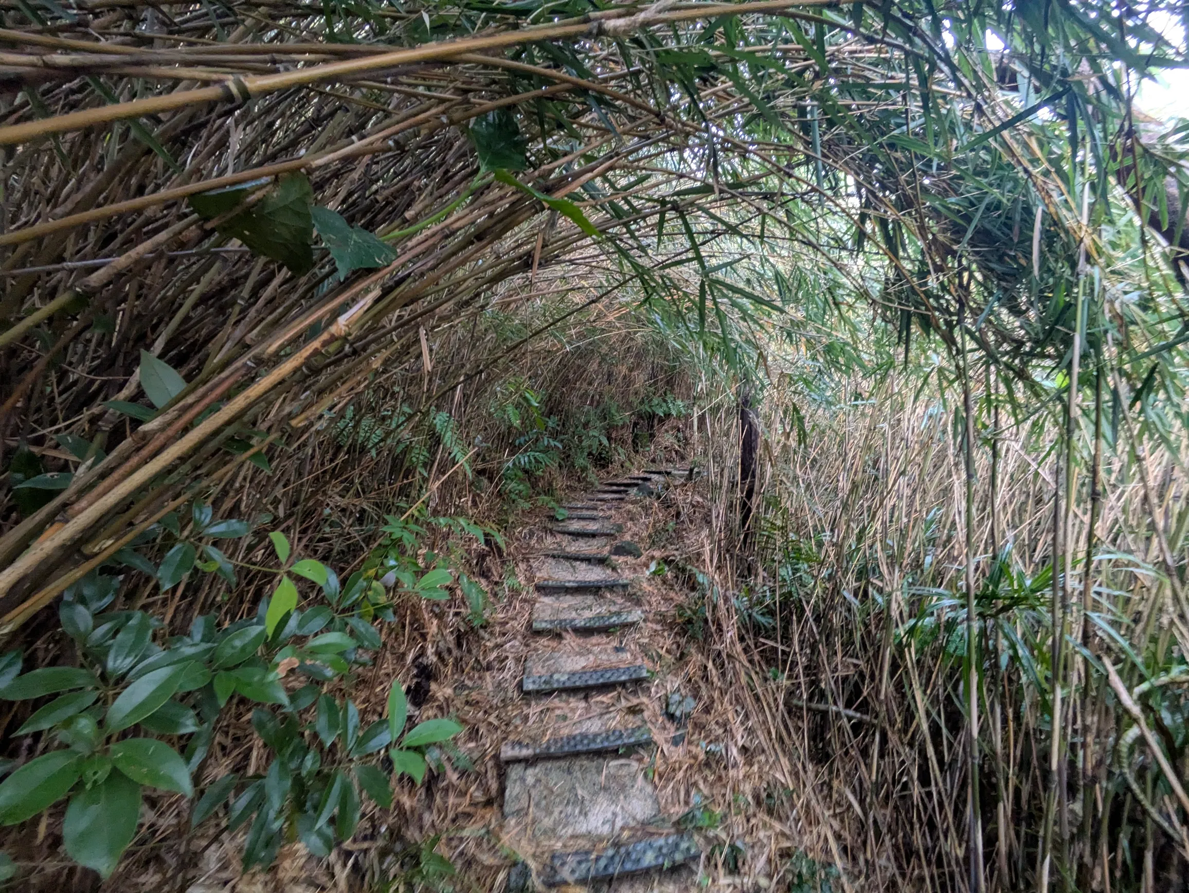 たむら鍼灸整骨院のイメージ