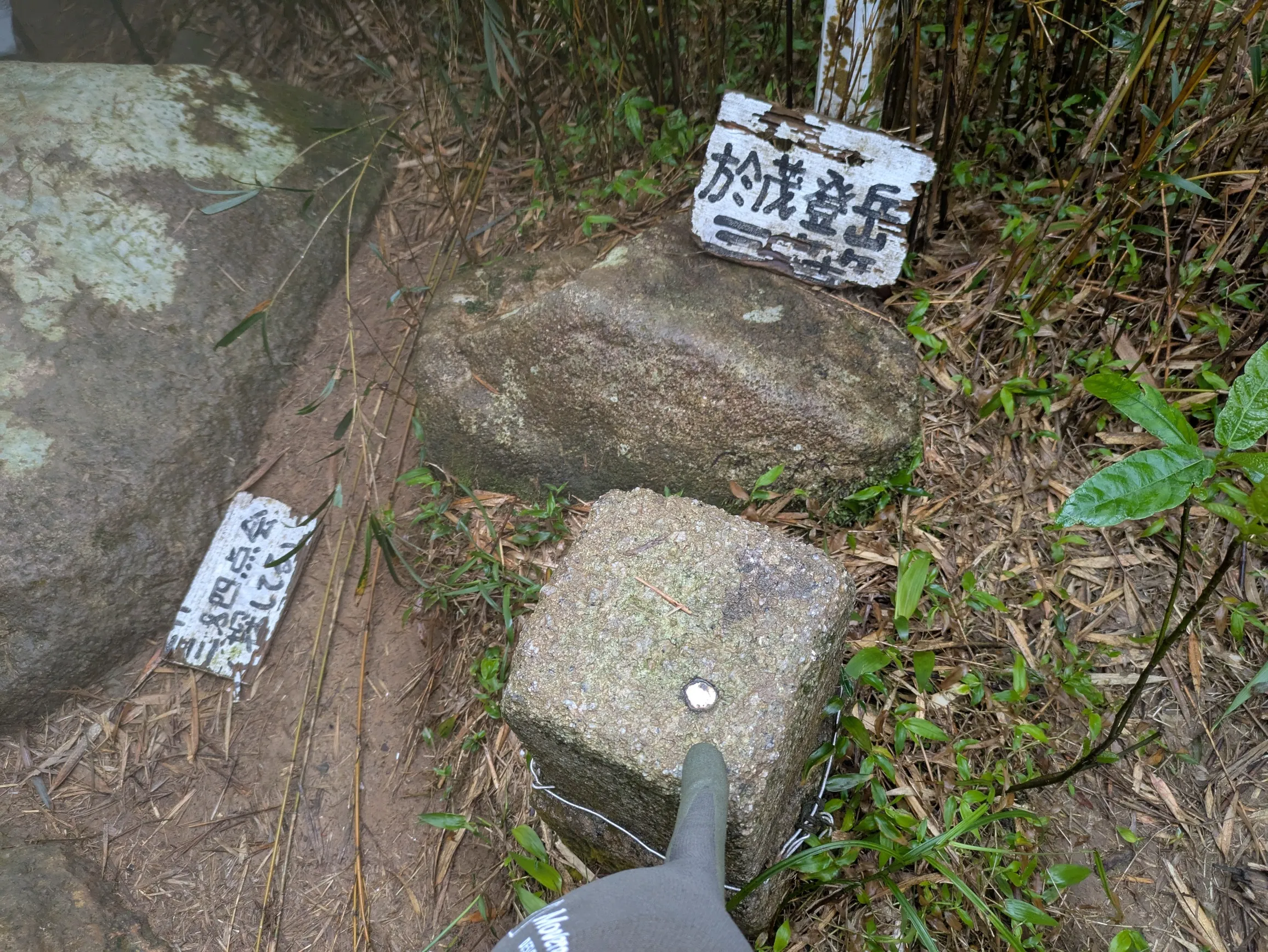 たむら鍼灸整骨院のイメージ