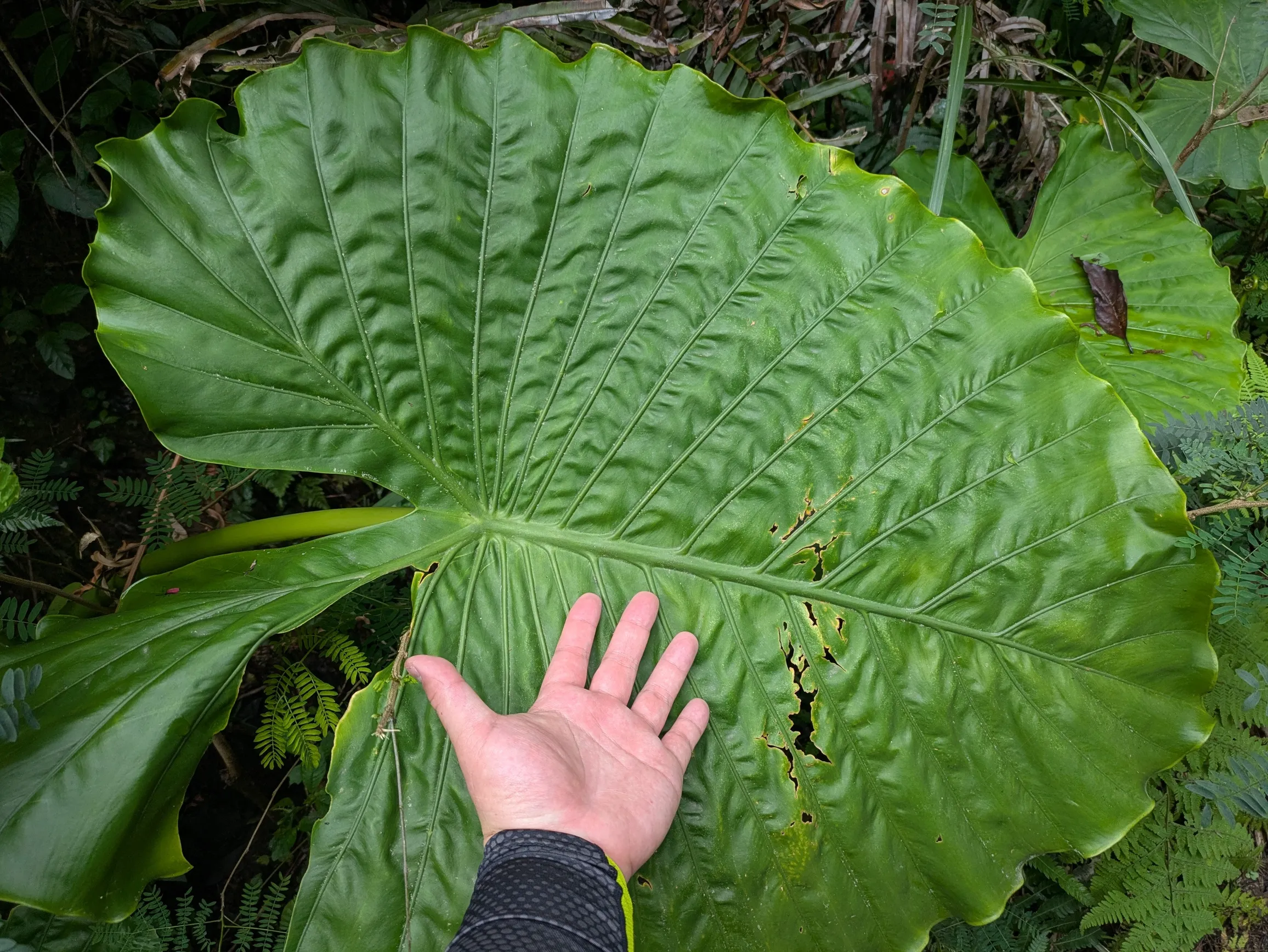 たむら鍼灸整骨院のイメージ