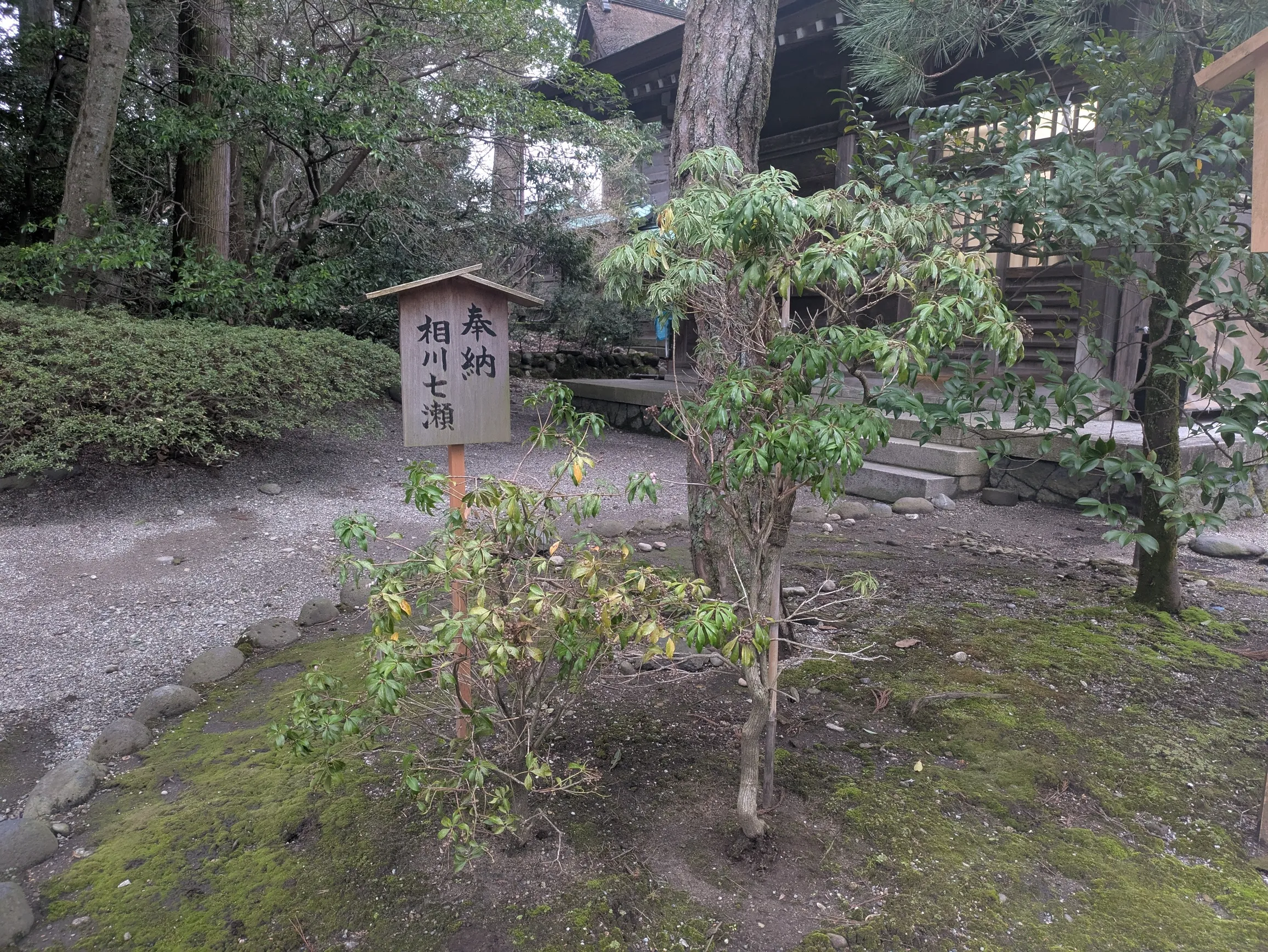 たむら鍼灸整骨院のイメージ