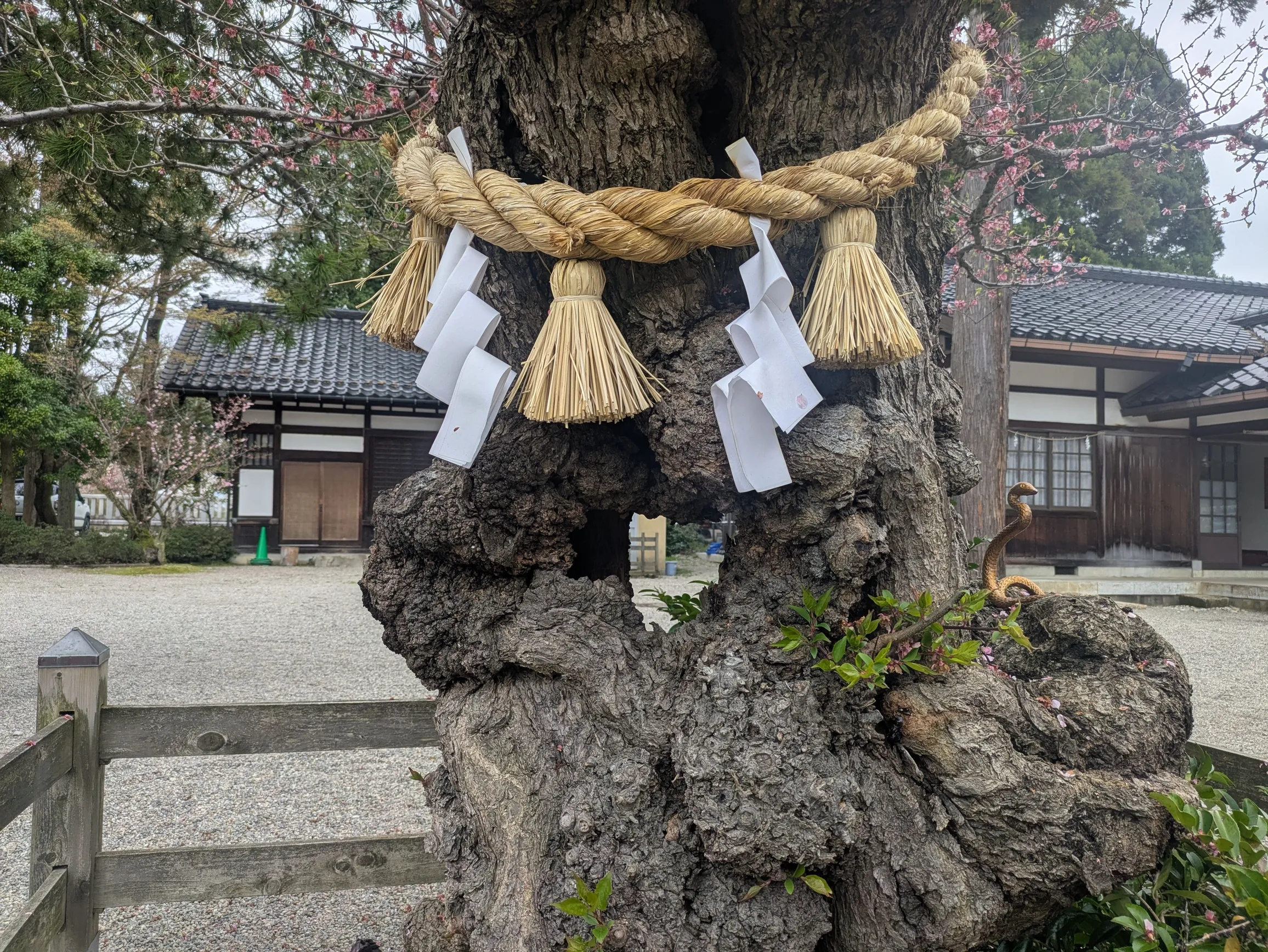 たむら鍼灸整骨院のイメージ