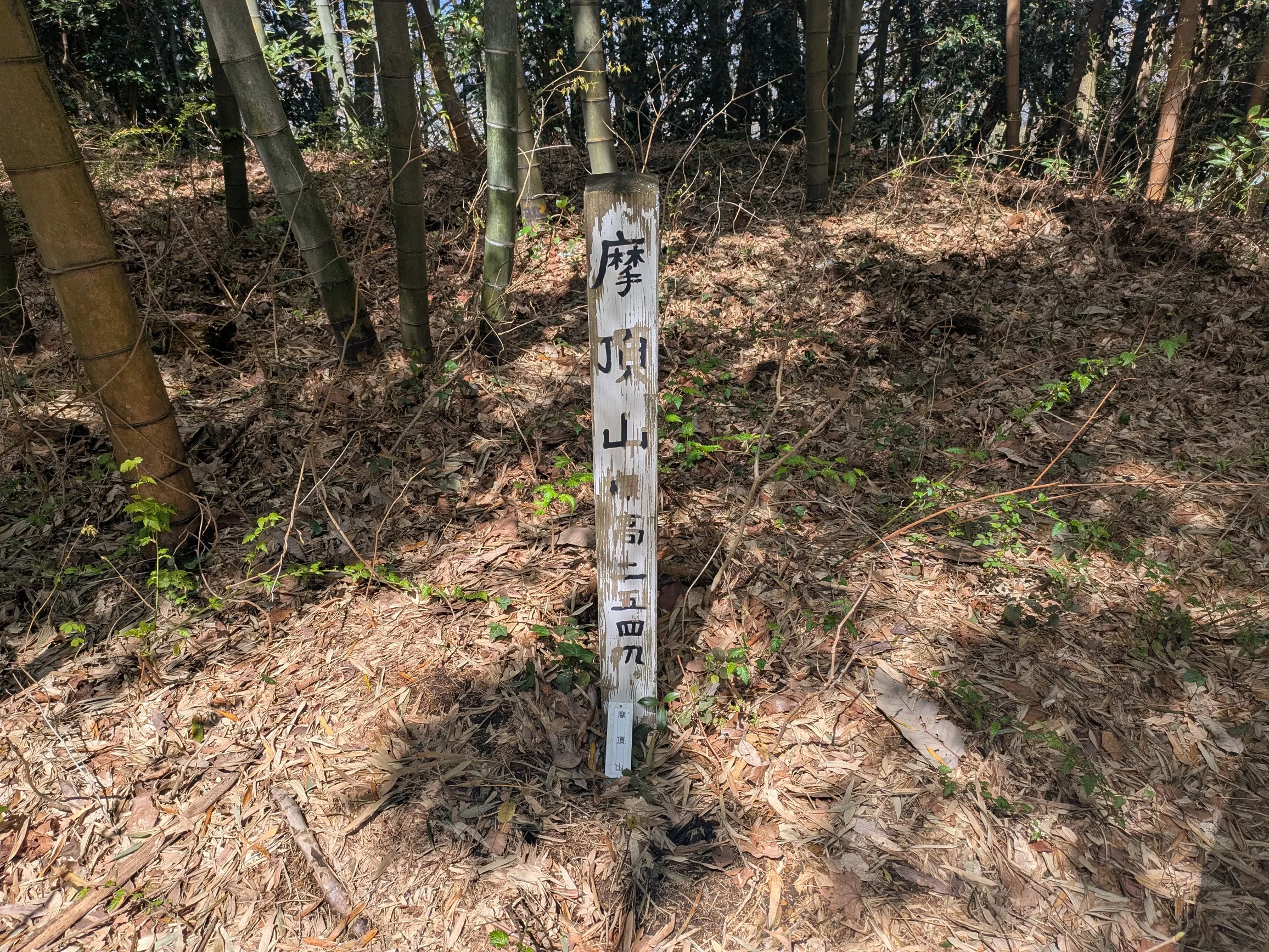 たむら鍼灸整骨院のイメージ