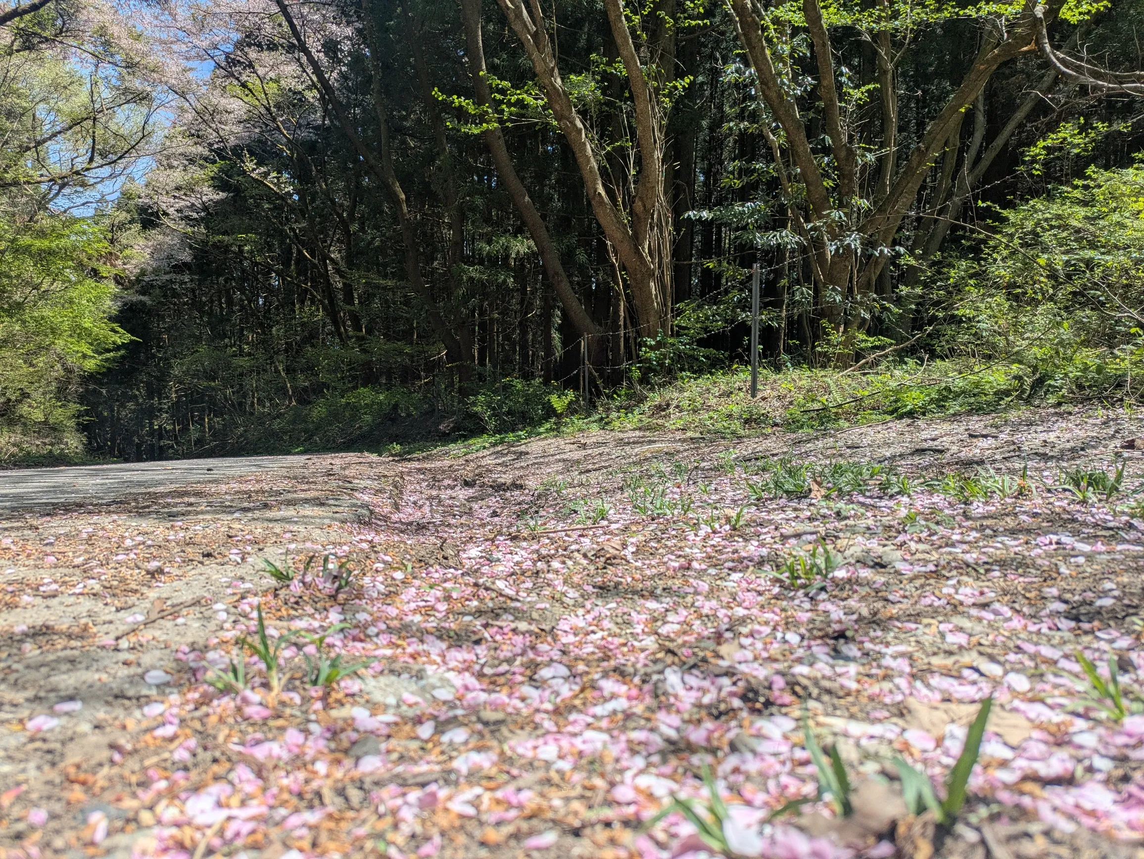 たむら鍼灸整骨院のイメージ