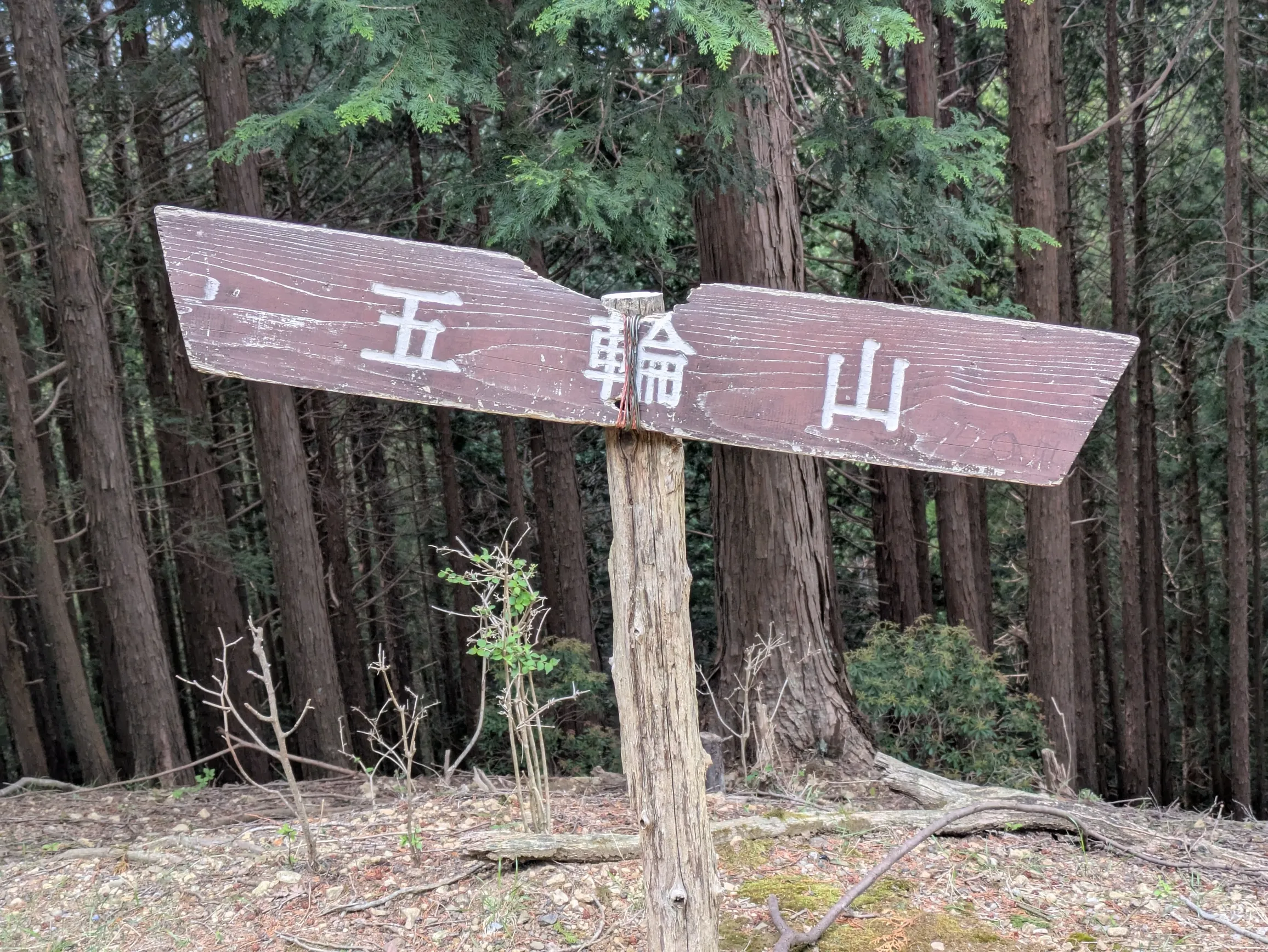 たむら鍼灸整骨院のイメージ