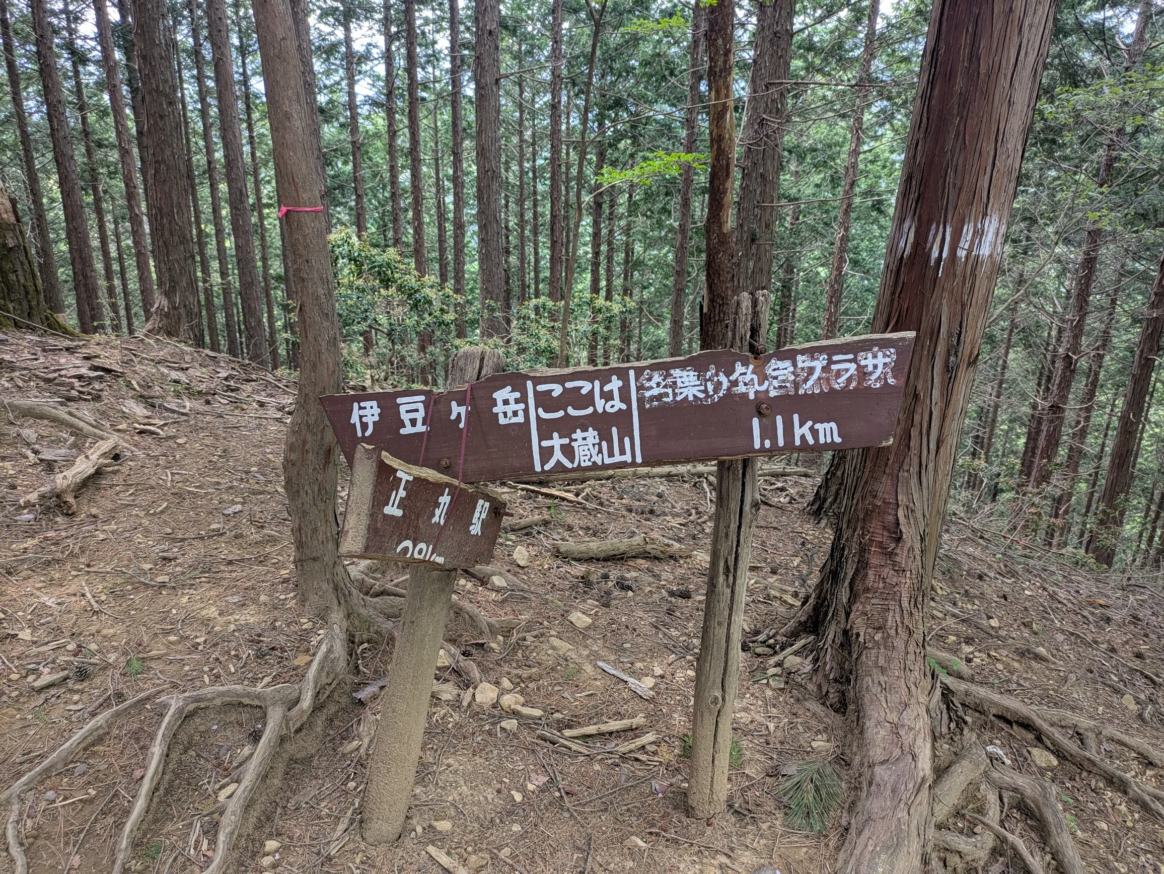 たむら鍼灸整骨院のイメージ