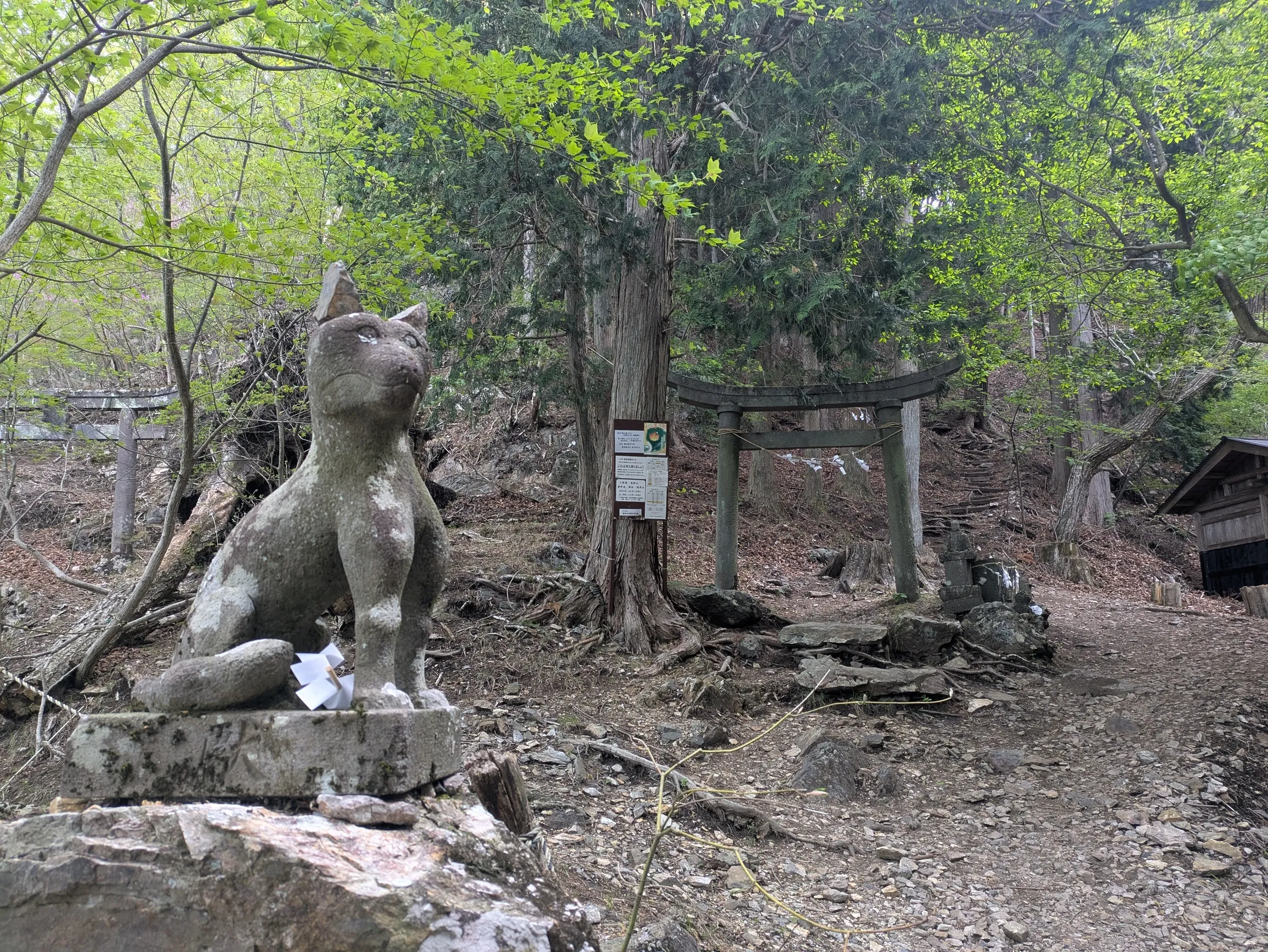 たむら鍼灸整骨院のイメージ