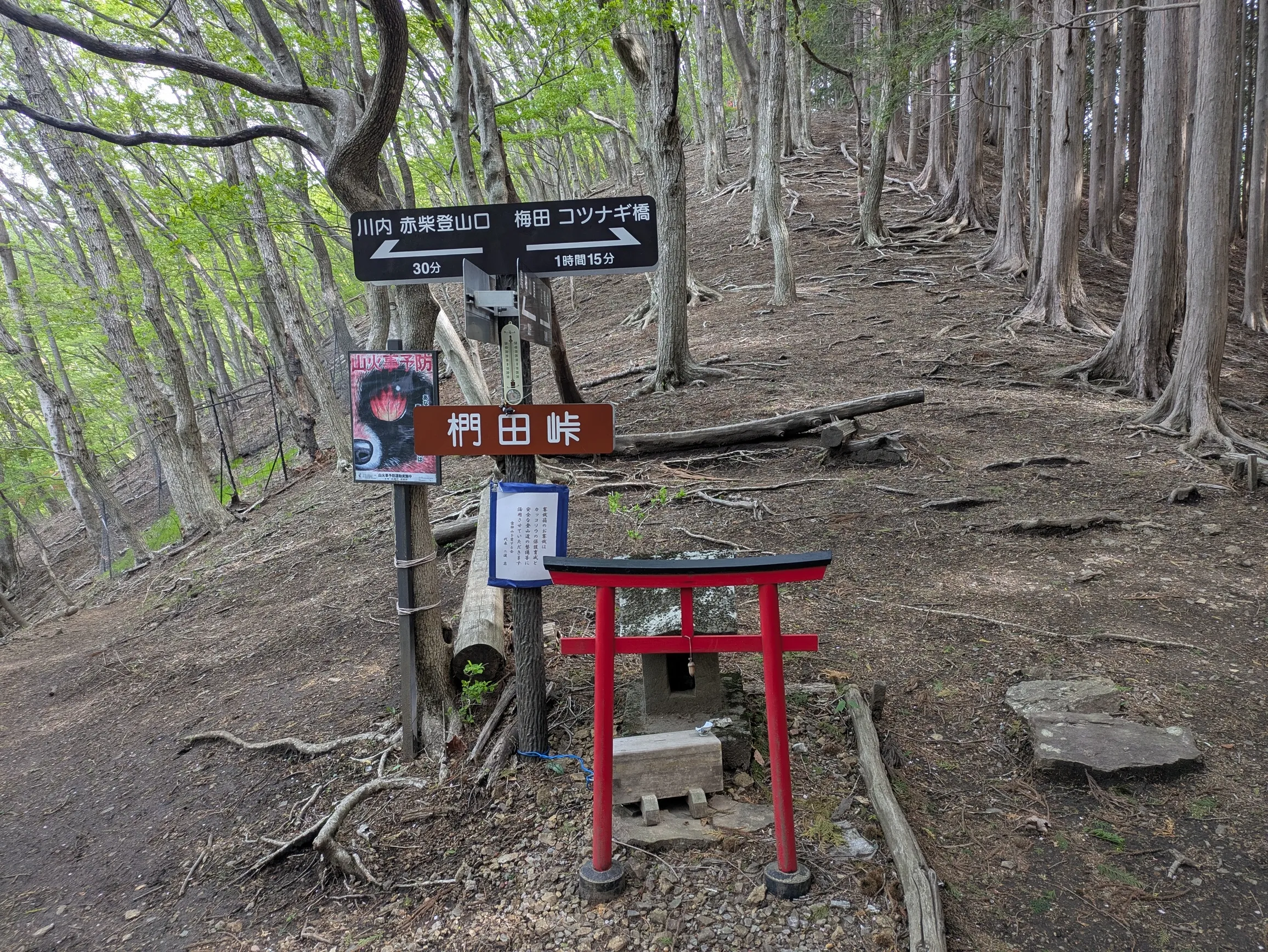 たむら鍼灸整骨院のイメージ
