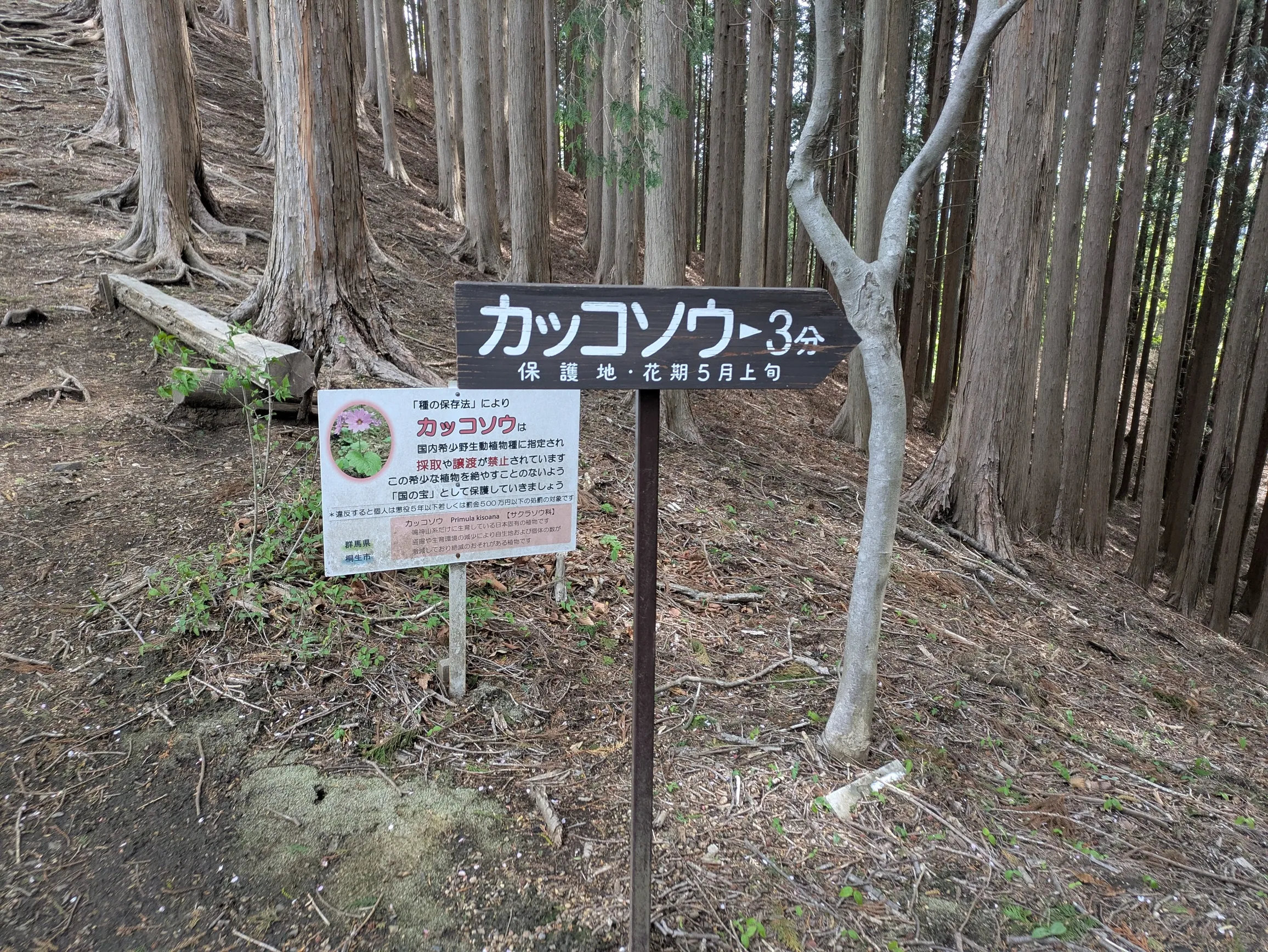 たむら鍼灸整骨院のイメージ