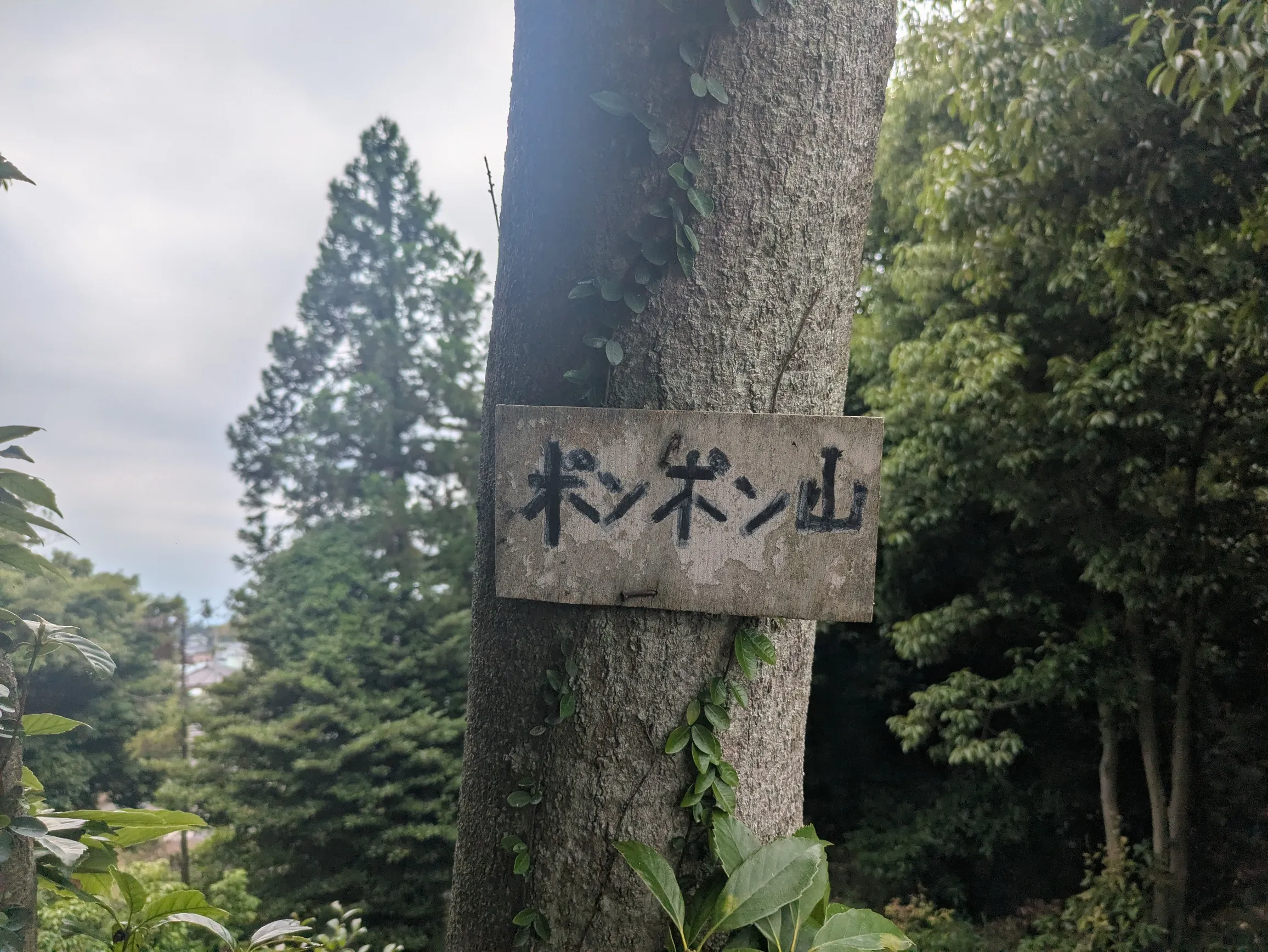 山頂標識