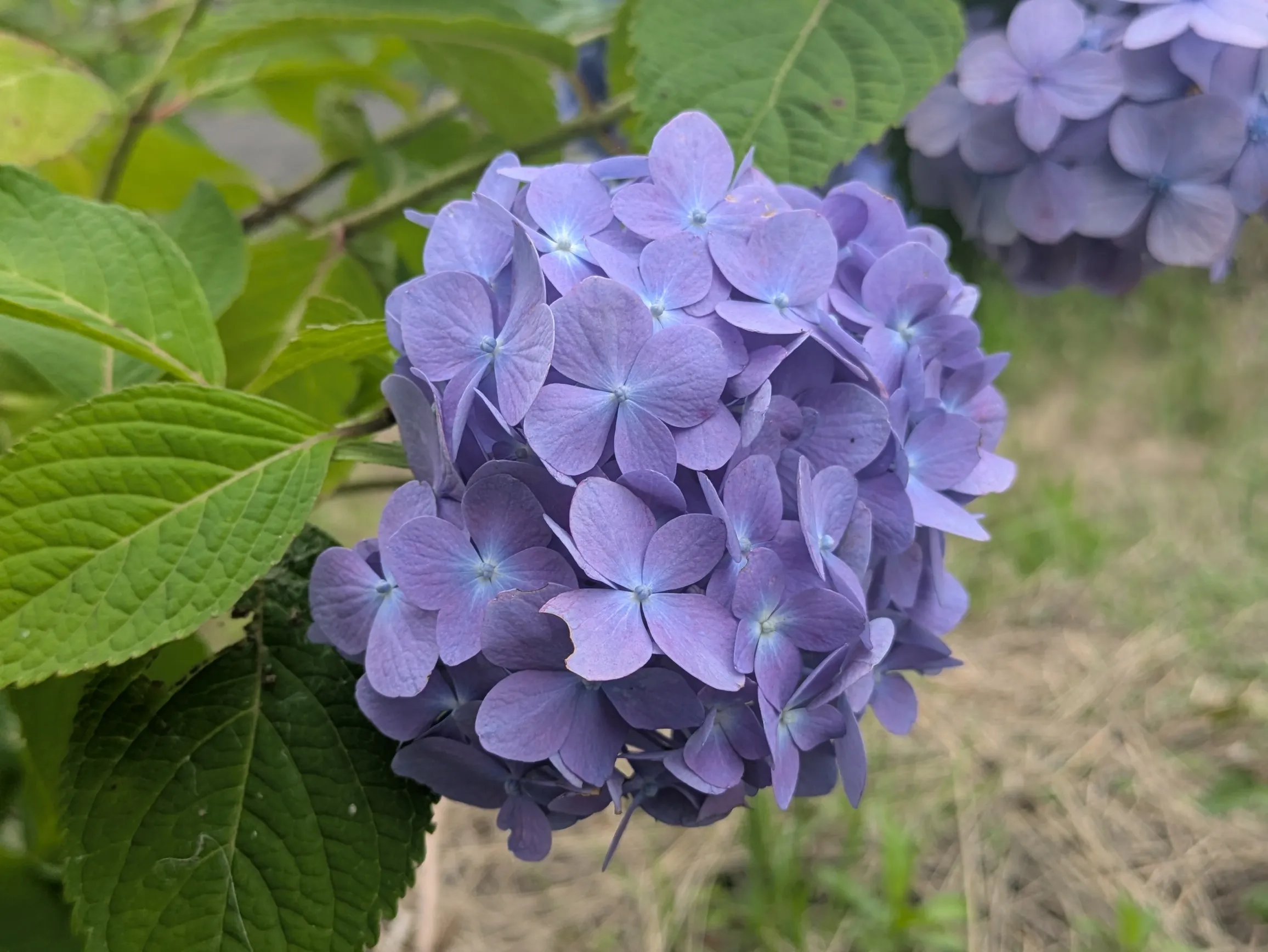 たむら鍼灸整骨院のイメージ