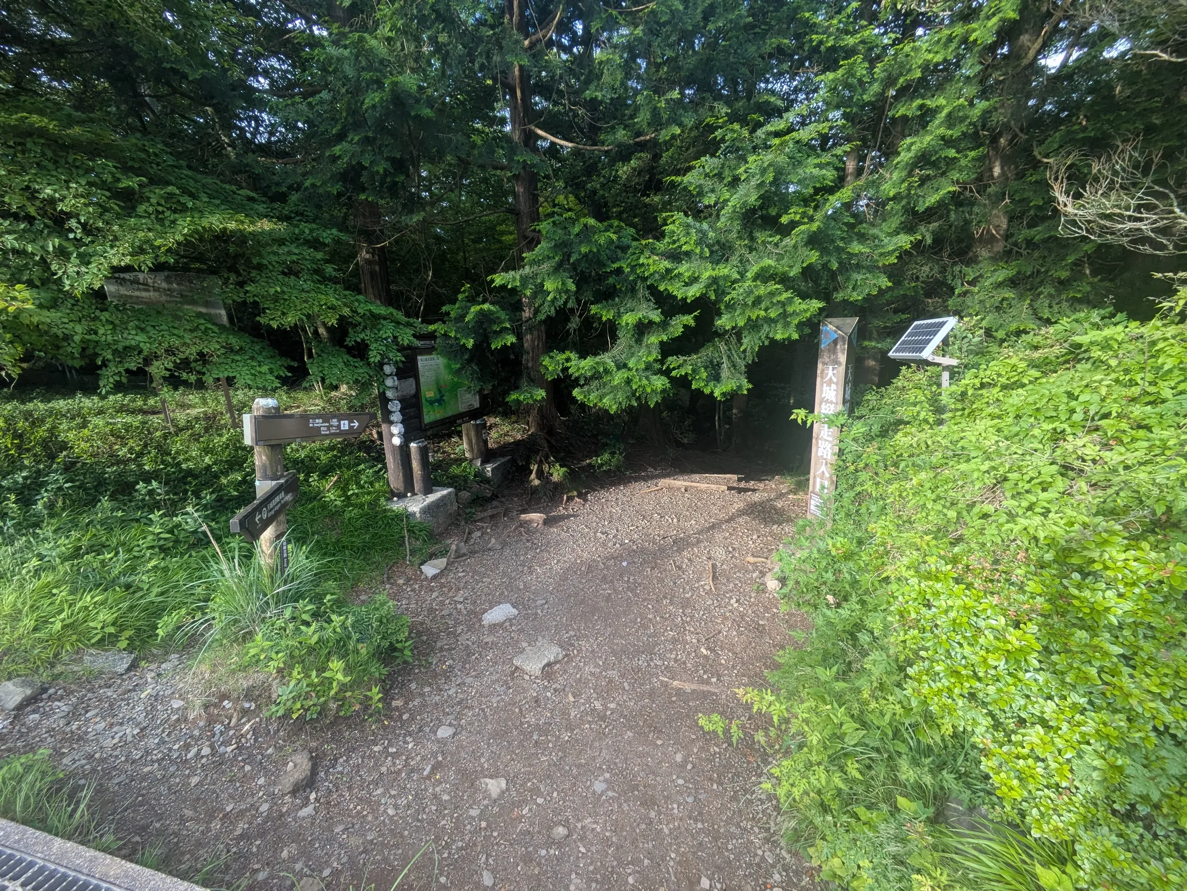 たむら鍼灸整骨院のイメージ