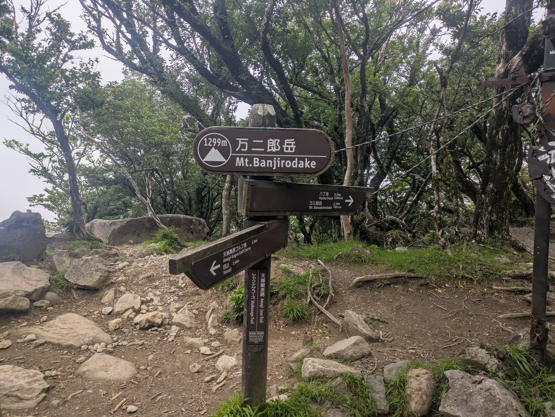たむら鍼灸整骨院のイメージ