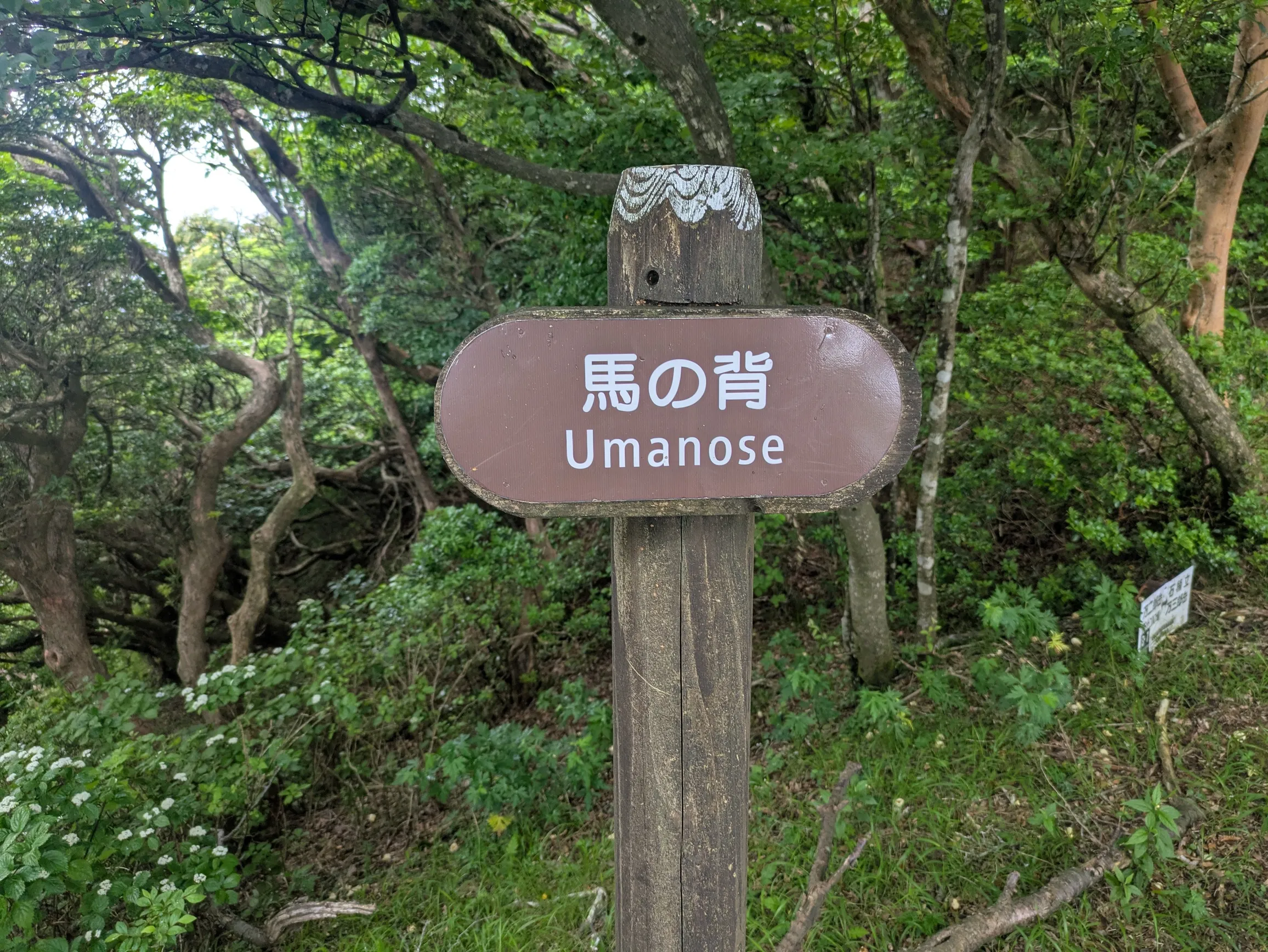 たむら鍼灸整骨院のイメージ
