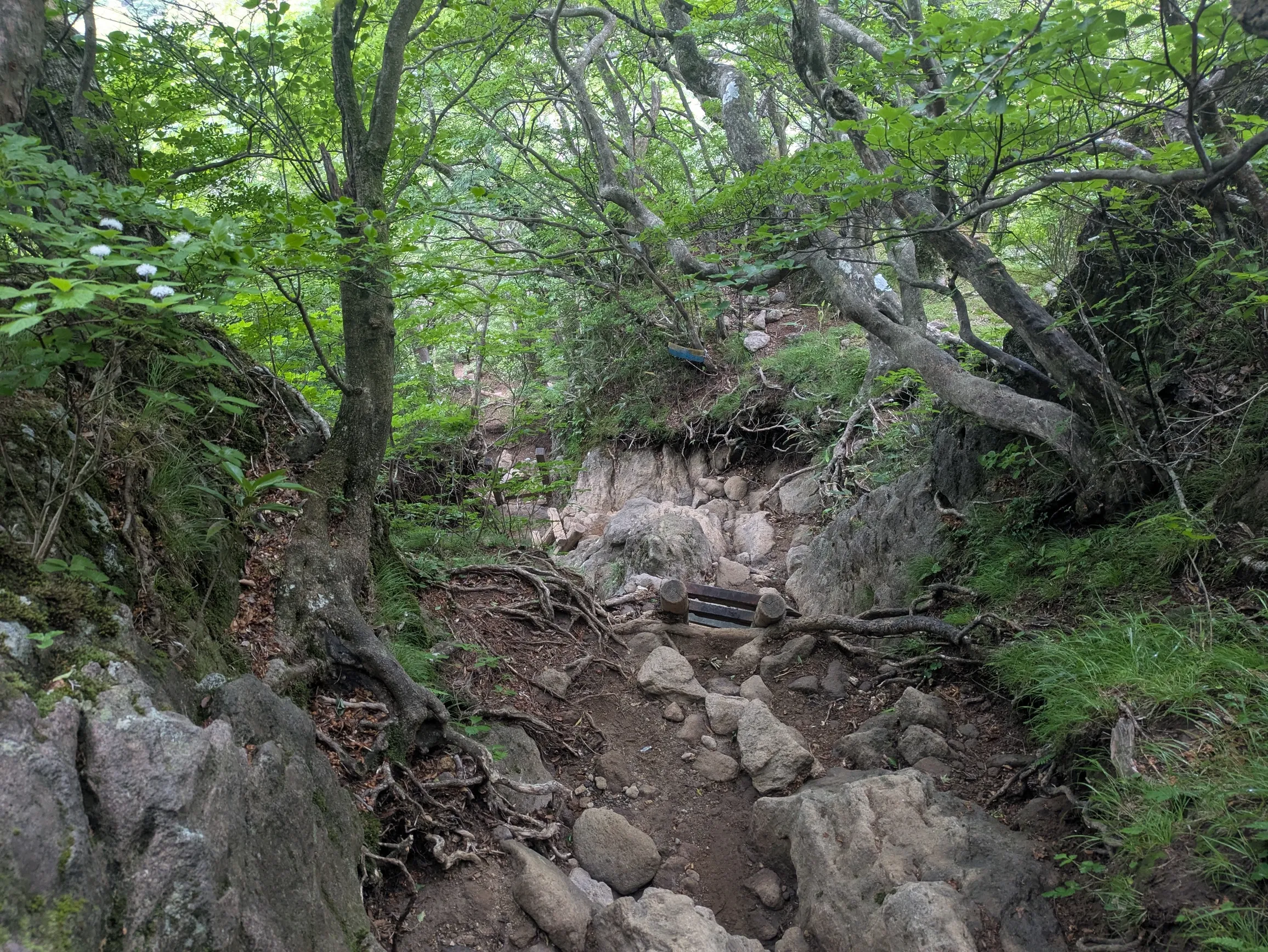 たむら鍼灸整骨院のイメージ