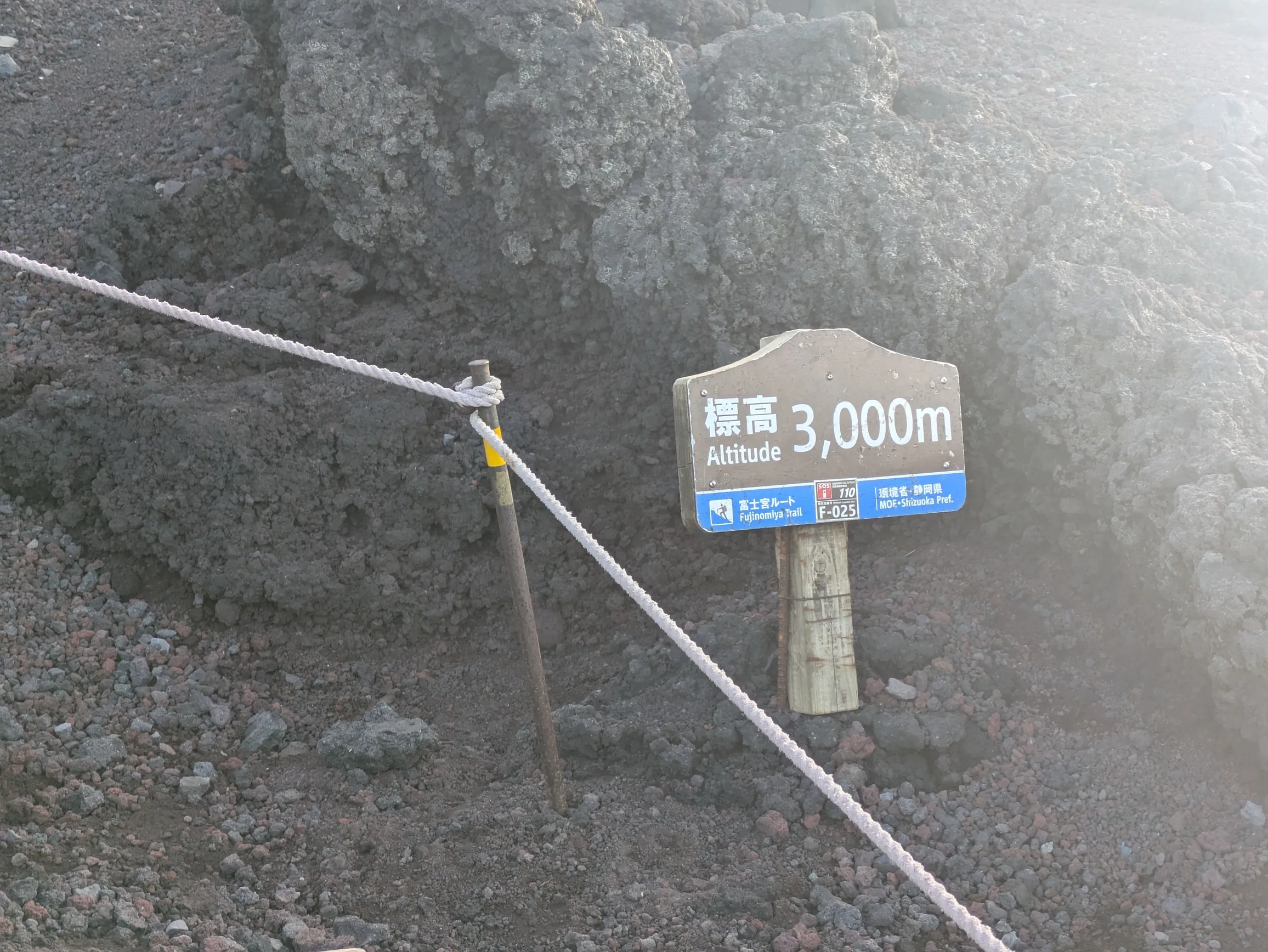たむら鍼灸整骨院のイメージ