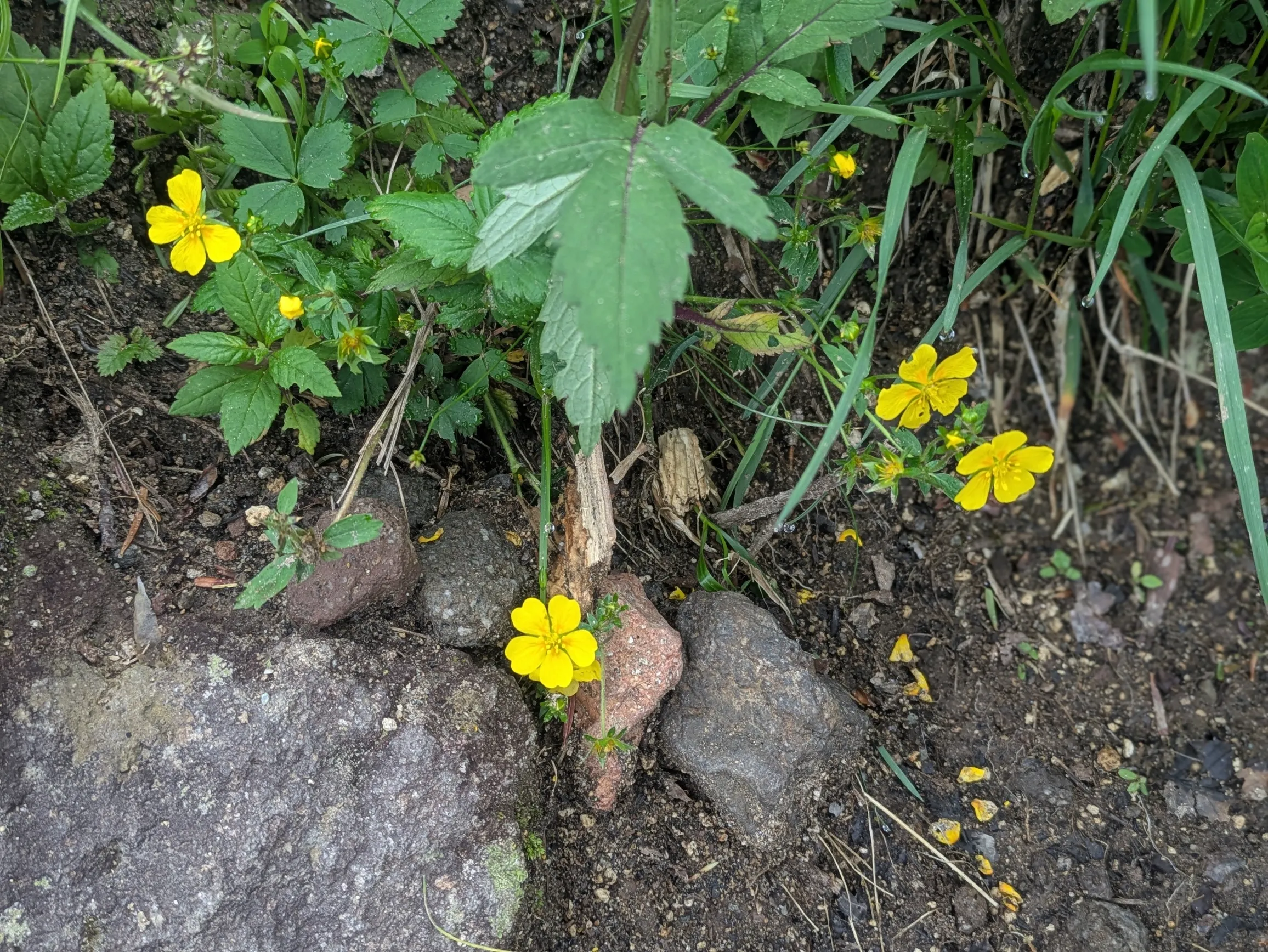 たむら鍼灸整骨院のイメージ