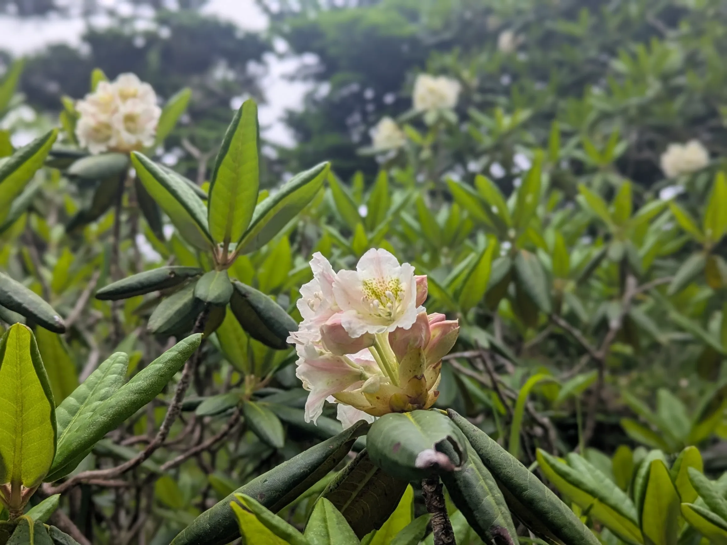 たむら鍼灸整骨院のイメージ