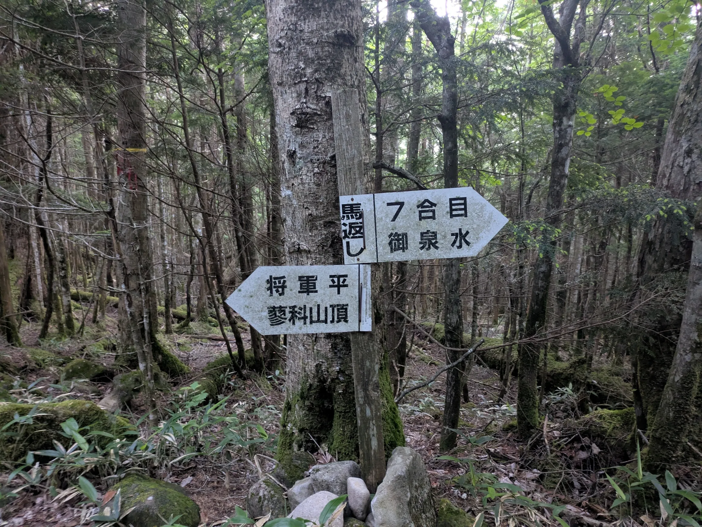 たむら鍼灸整骨院のイメージ