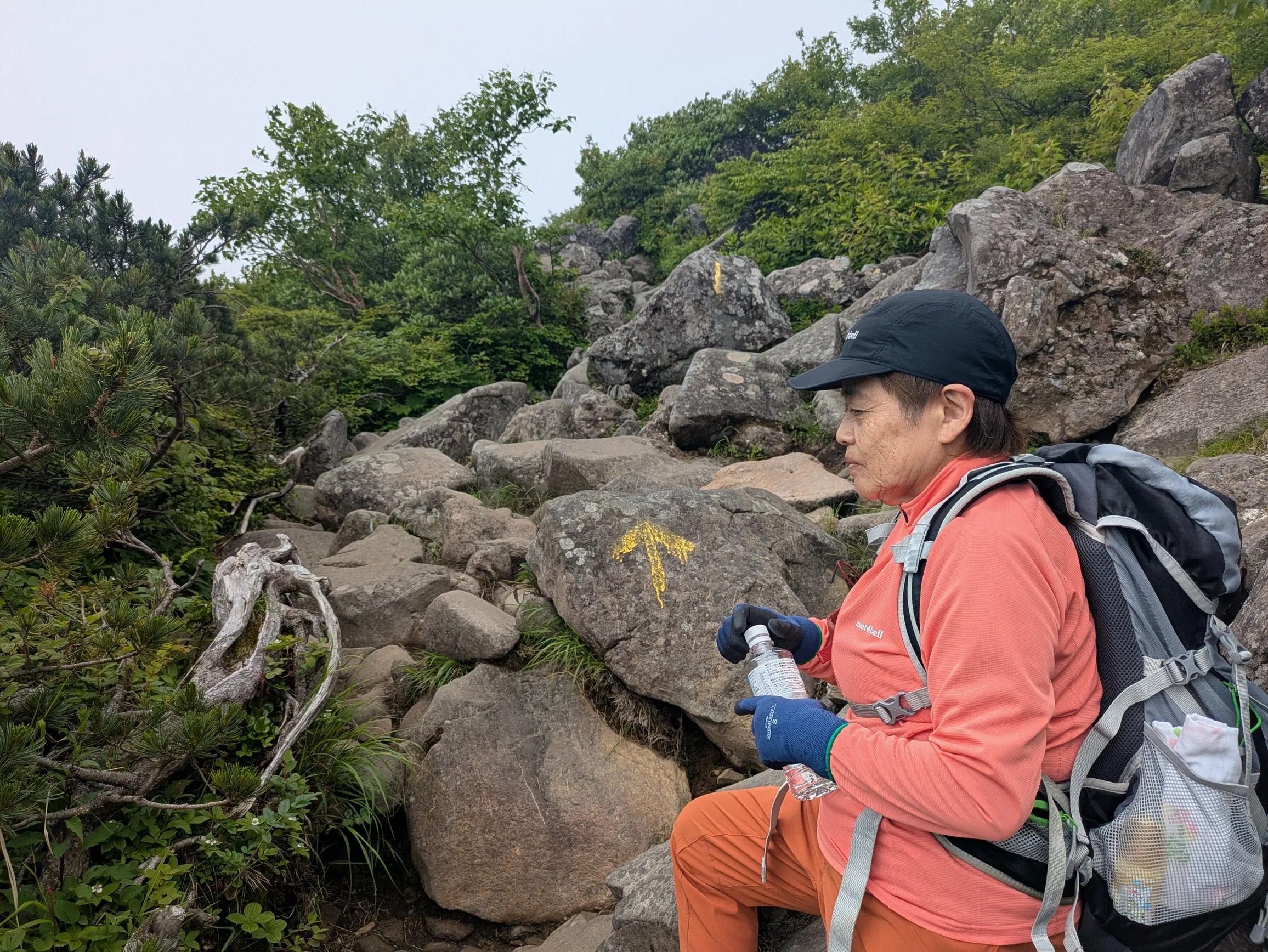 たむら鍼灸整骨院のイメージ