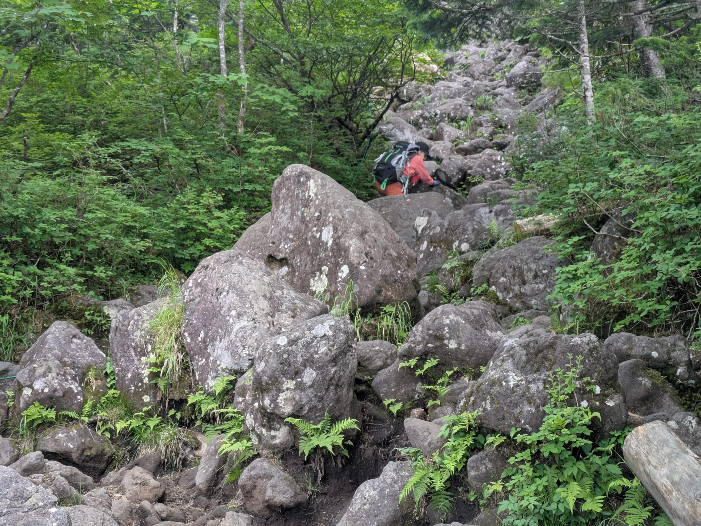 たむら鍼灸整骨院のイメージ