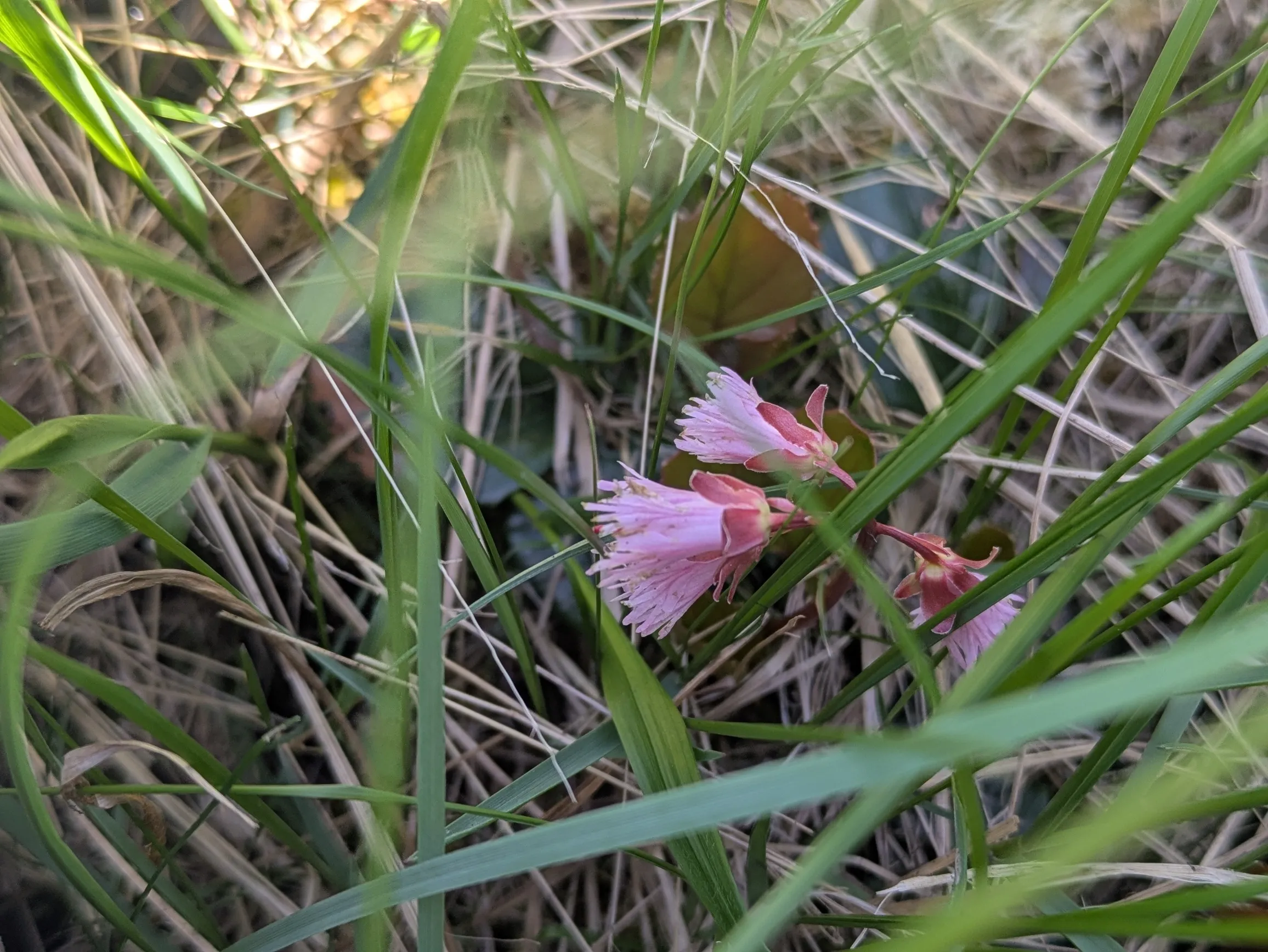 たむら鍼灸整骨院のイメージ