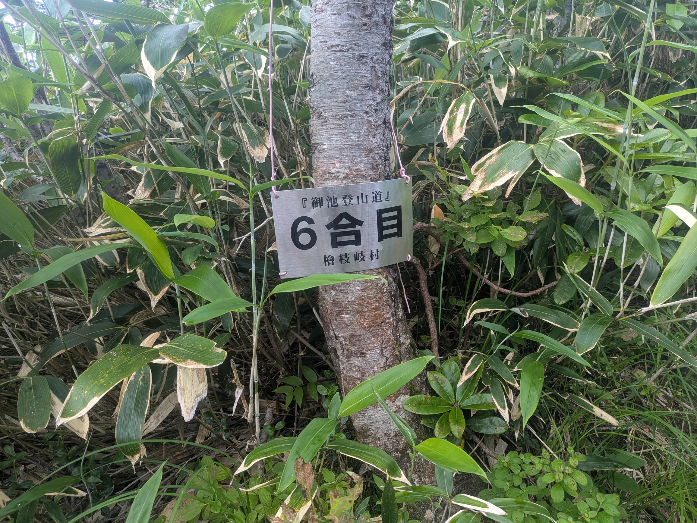 たむら鍼灸整骨院のイメージ