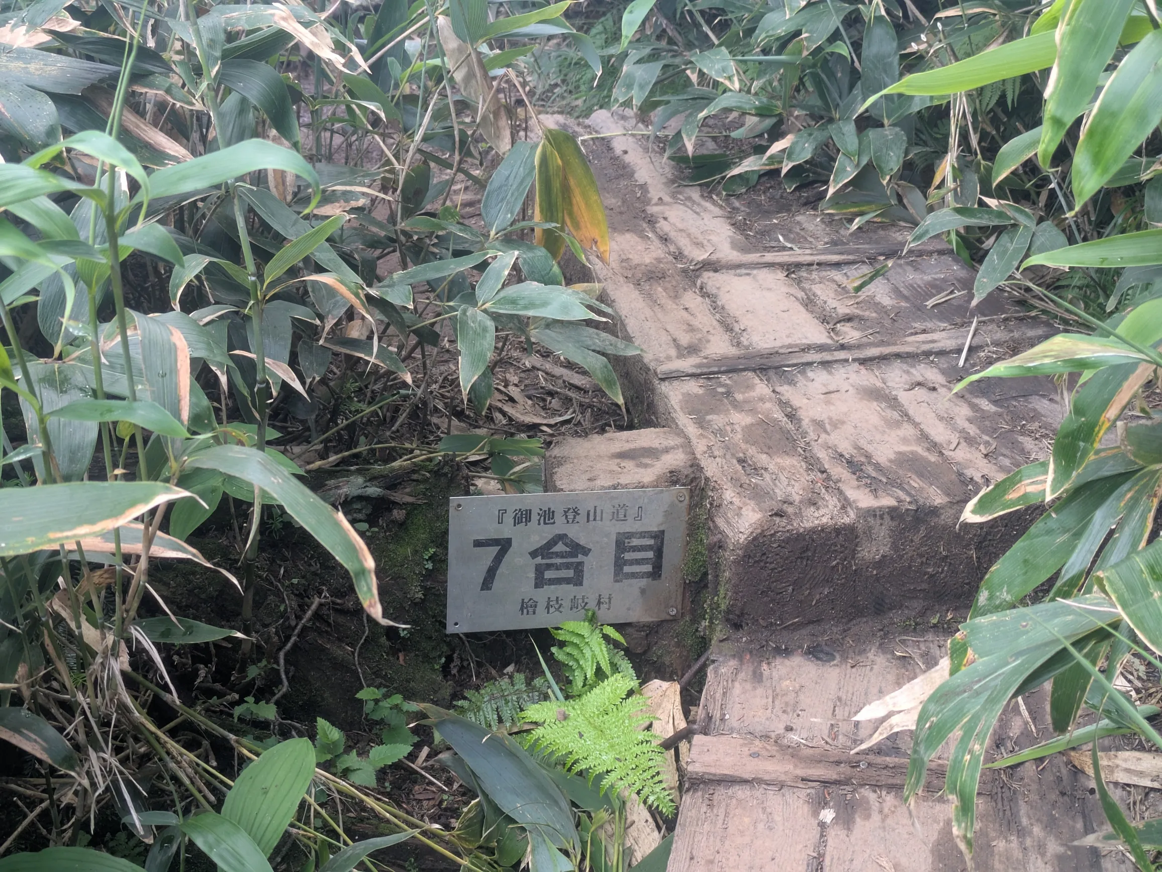 たむら鍼灸整骨院のイメージ