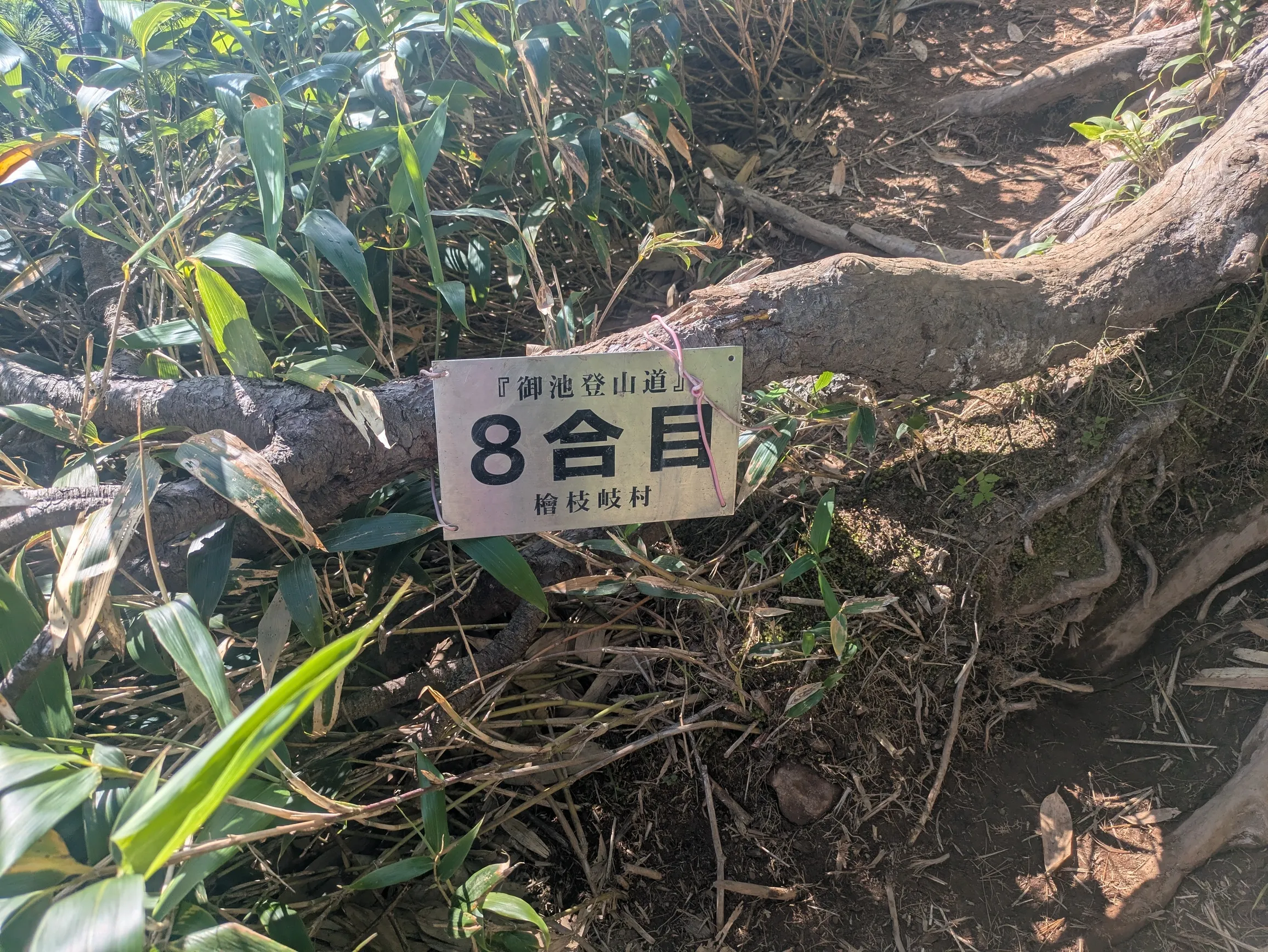 たむら鍼灸整骨院のイメージ