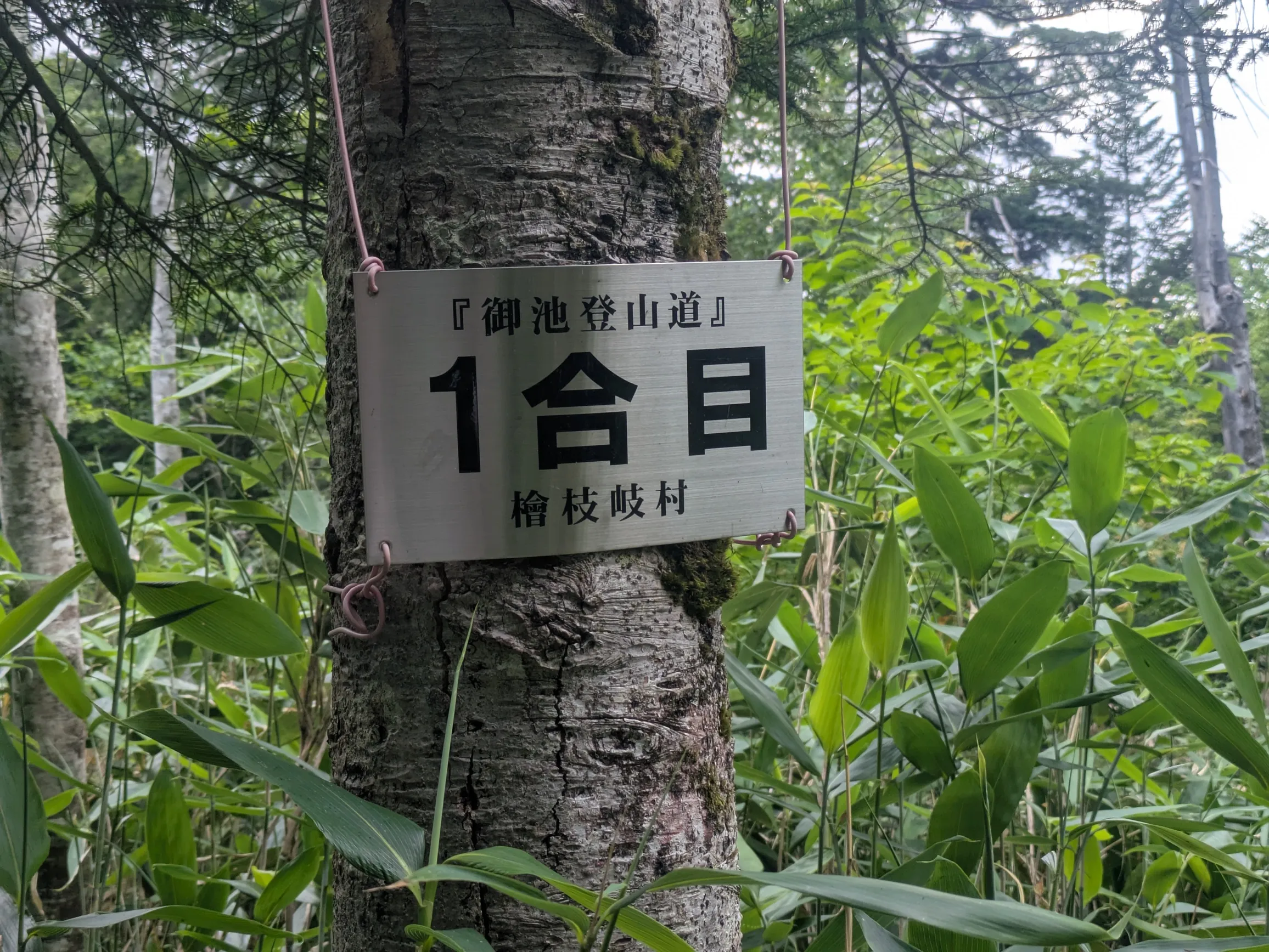 たむら鍼灸整骨院のイメージ