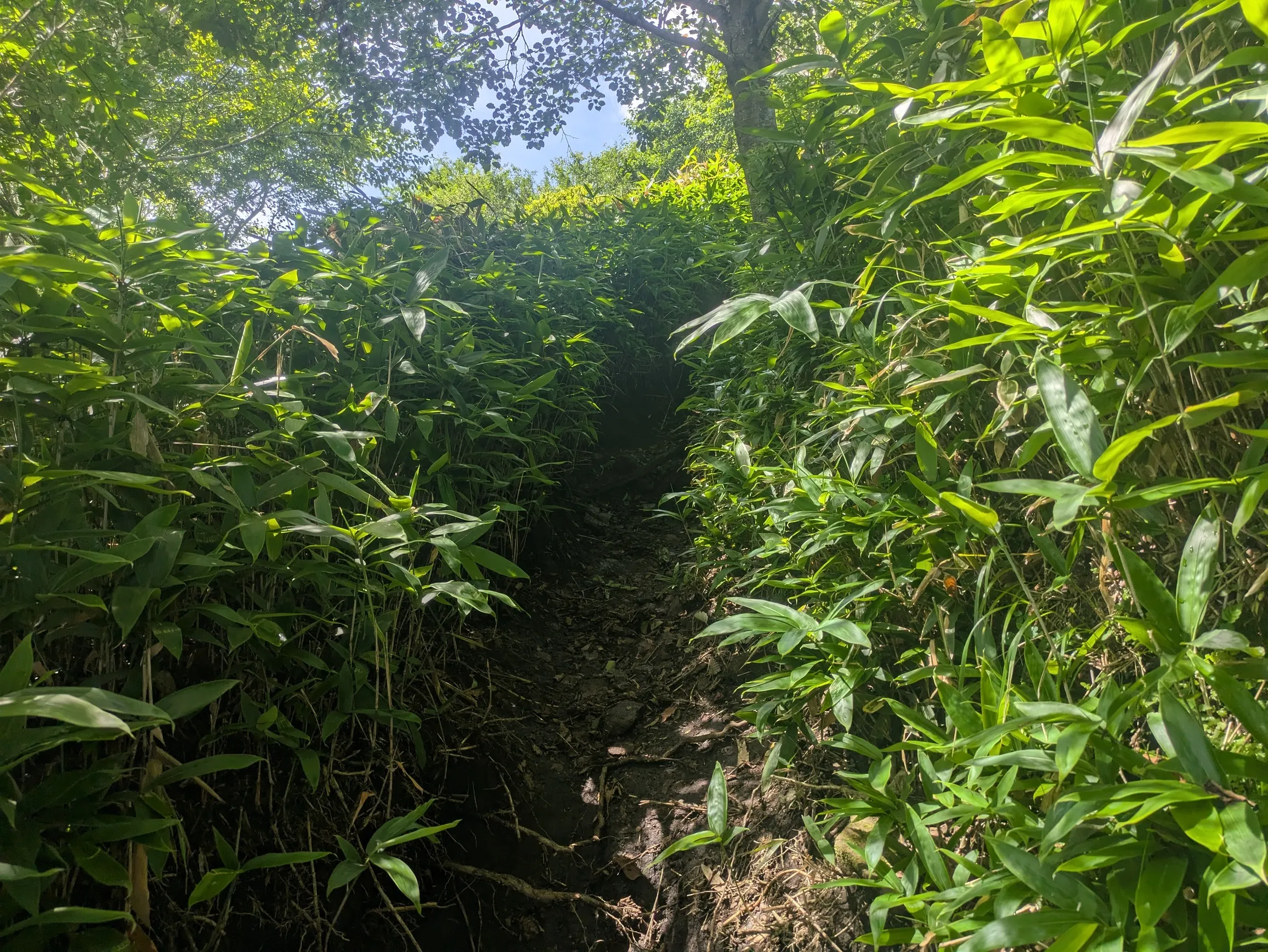 たむら鍼灸整骨院のイメージ