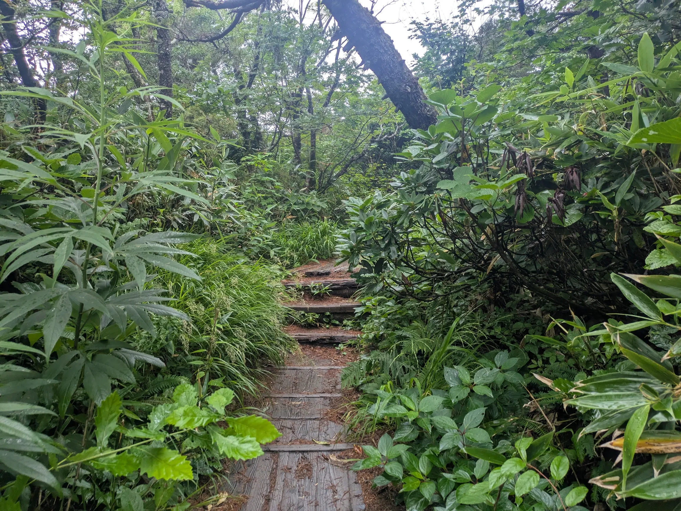 たむら鍼灸整骨院のイメージ