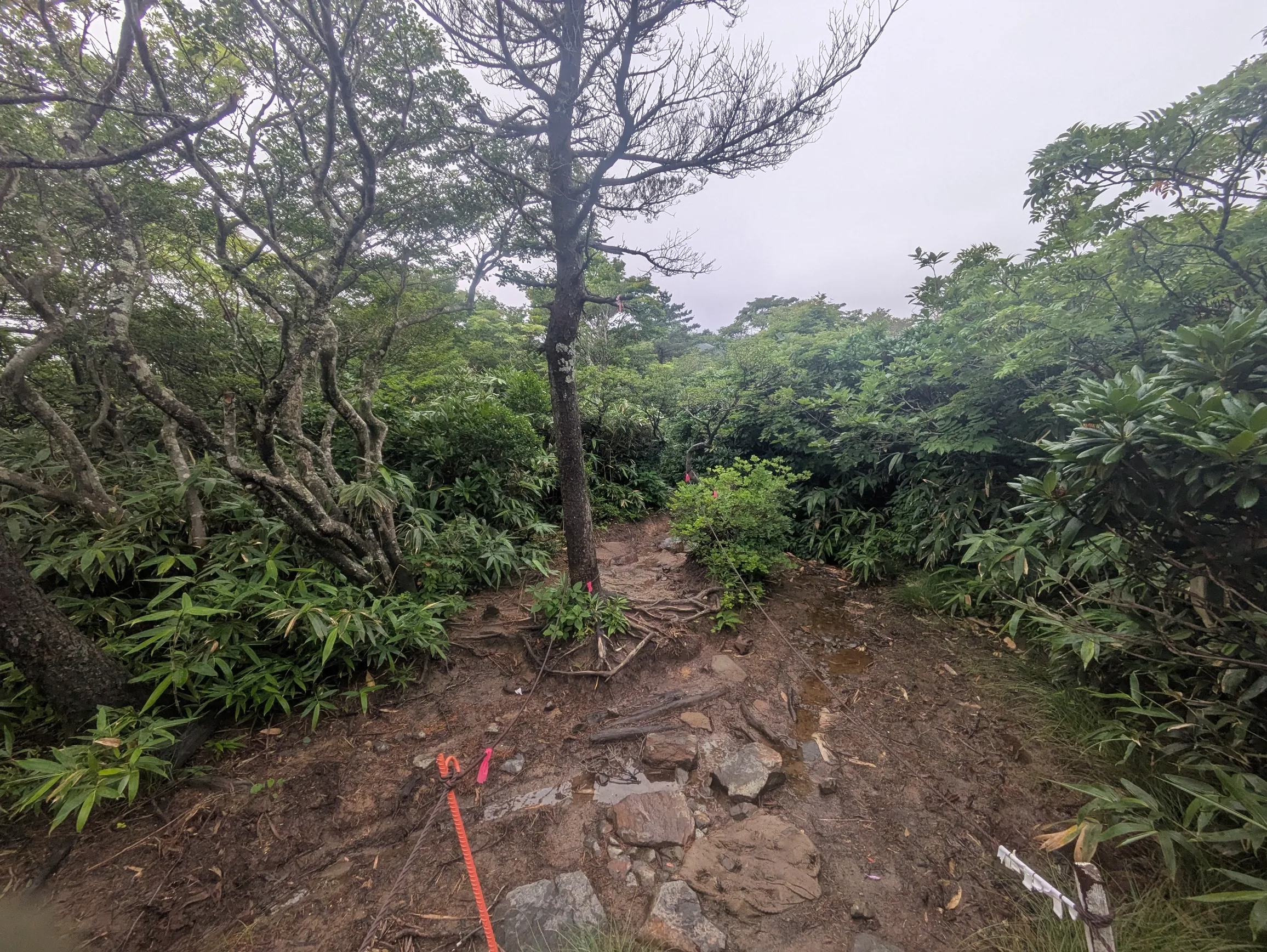 たむら鍼灸整骨院のイメージ