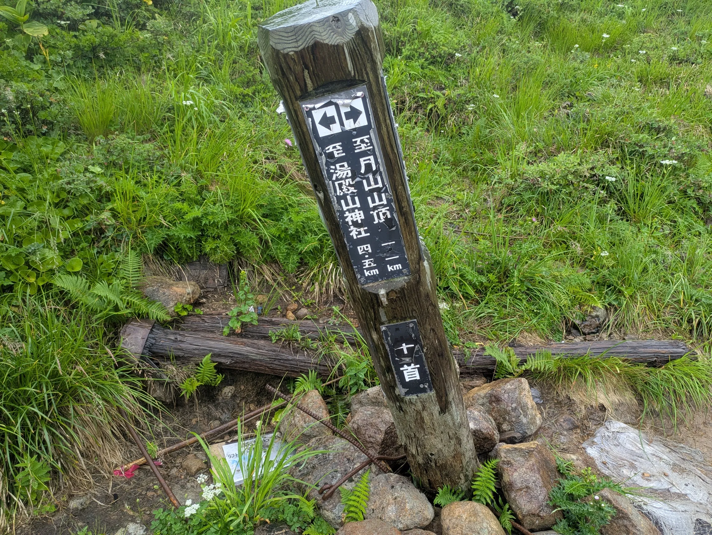 たむら鍼灸整骨院のイメージ