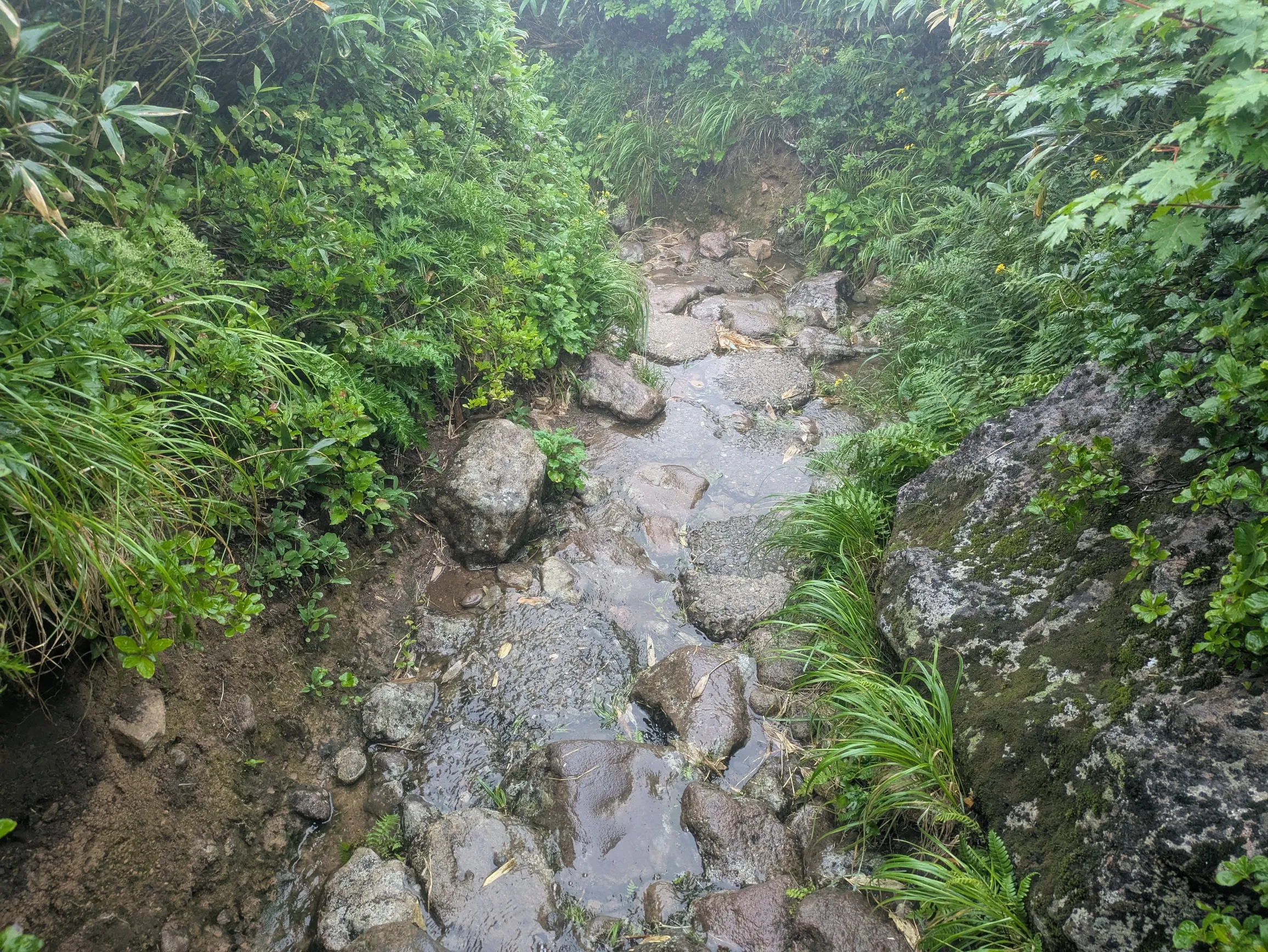 たむら鍼灸整骨院のイメージ
