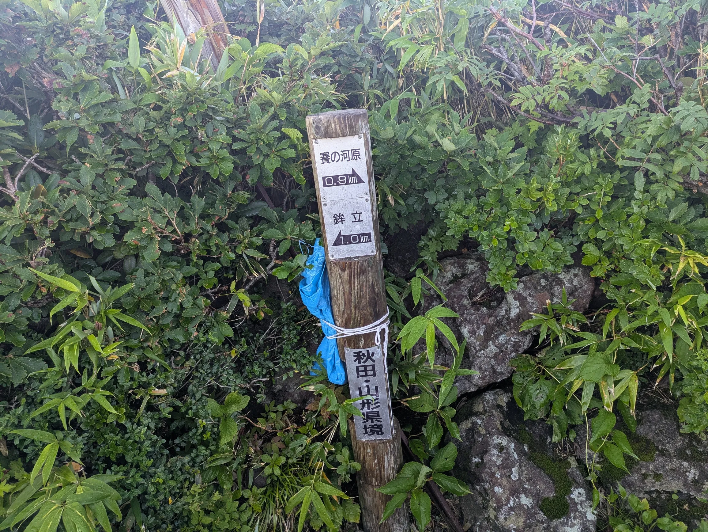 たむら鍼灸整骨院のイメージ