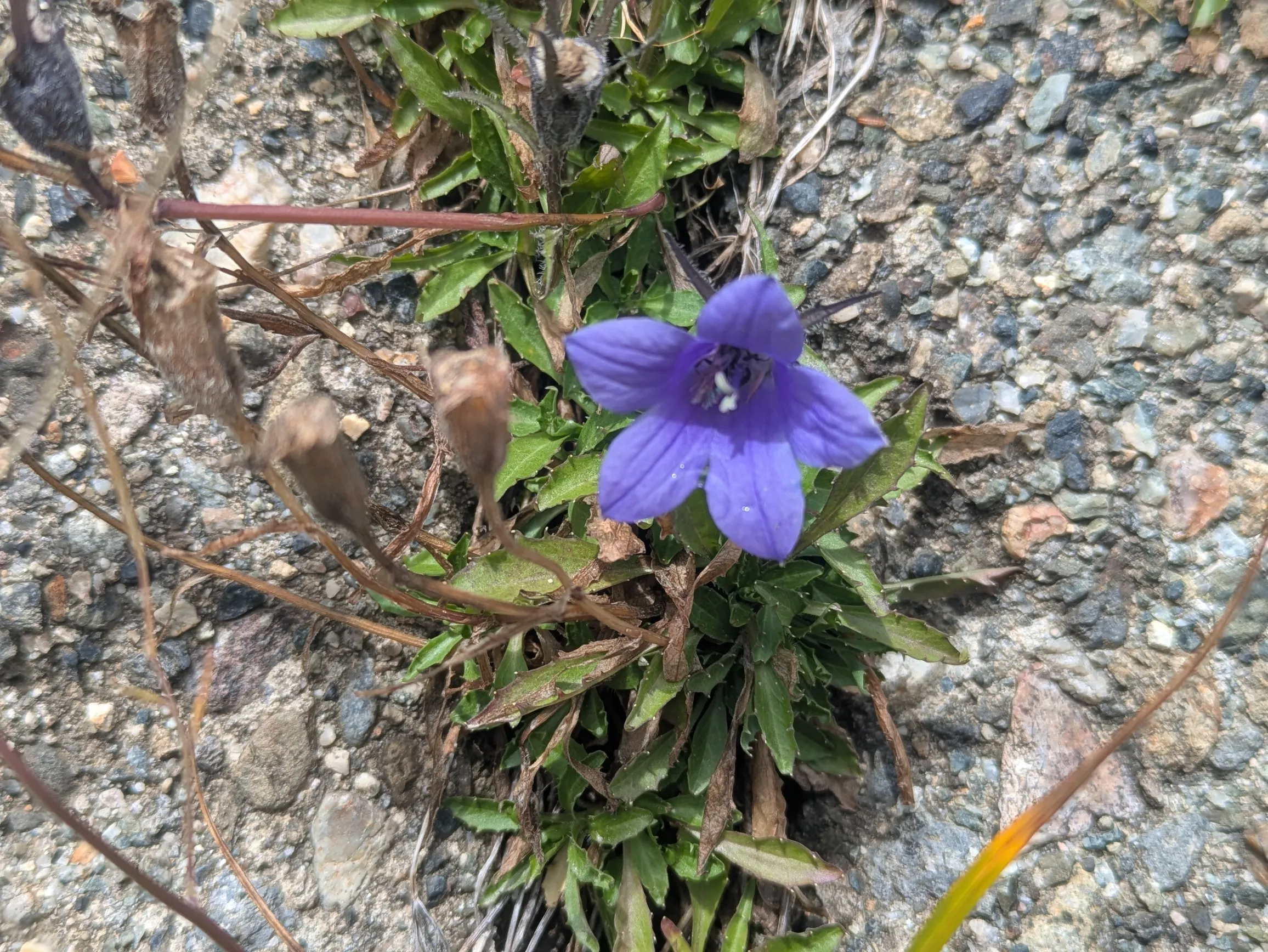 たむら鍼灸整骨院のイメージ