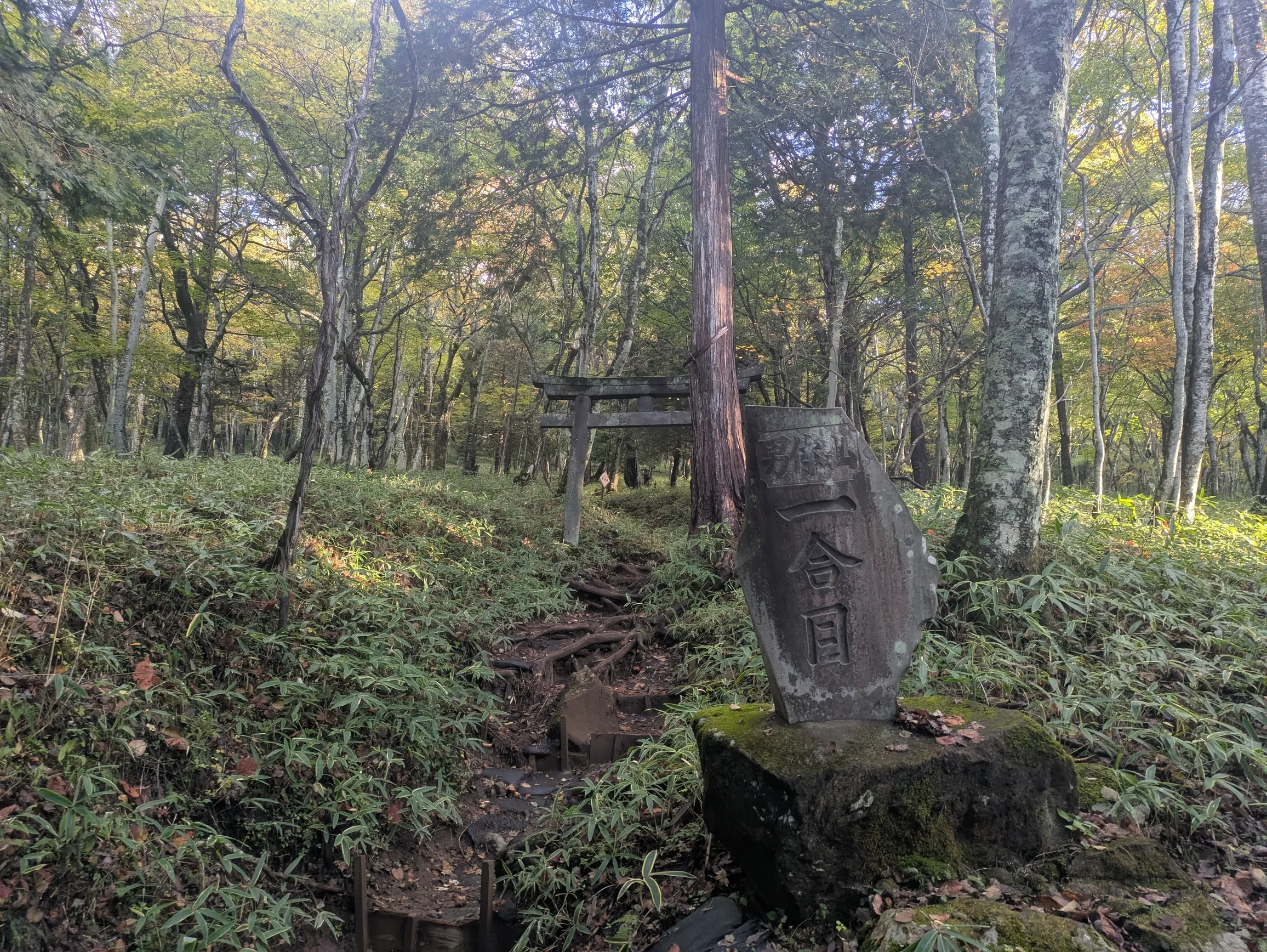 たむら鍼灸整骨院のイメージ