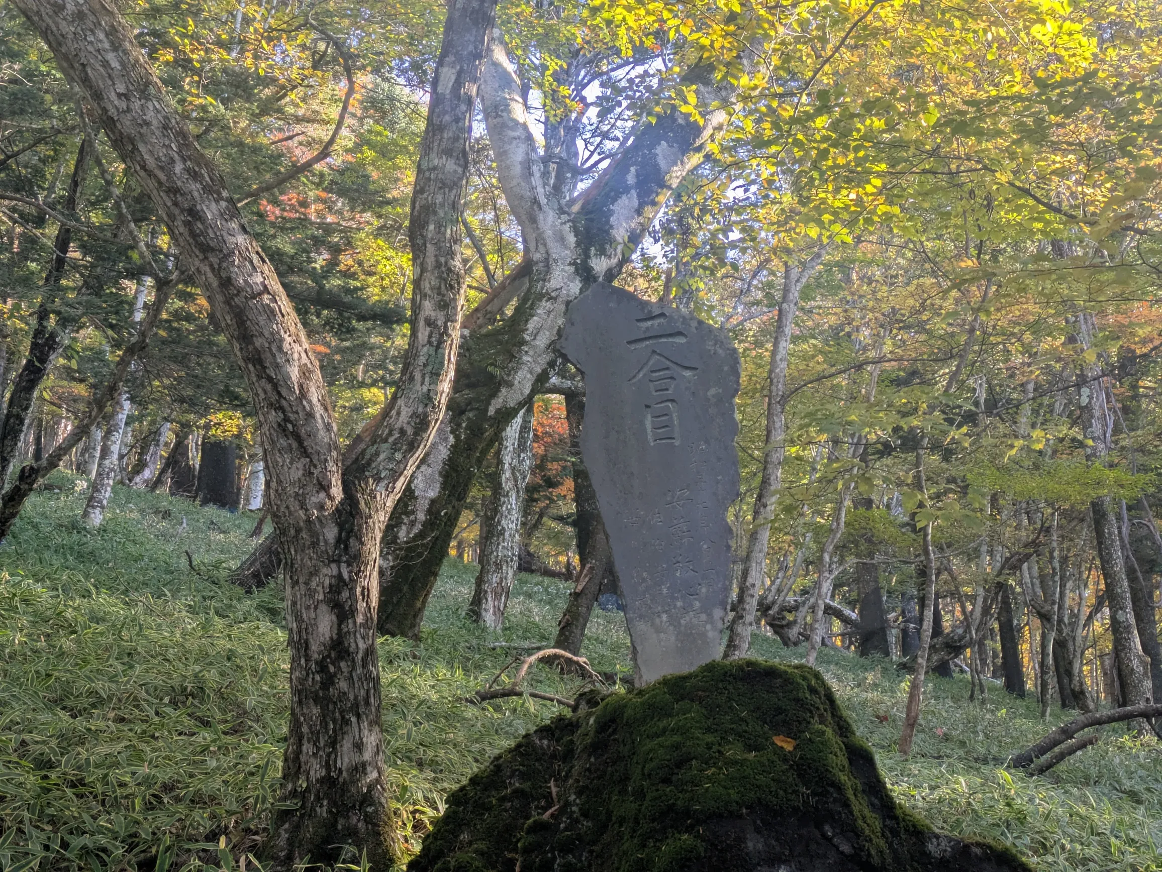 たむら鍼灸整骨院のイメージ