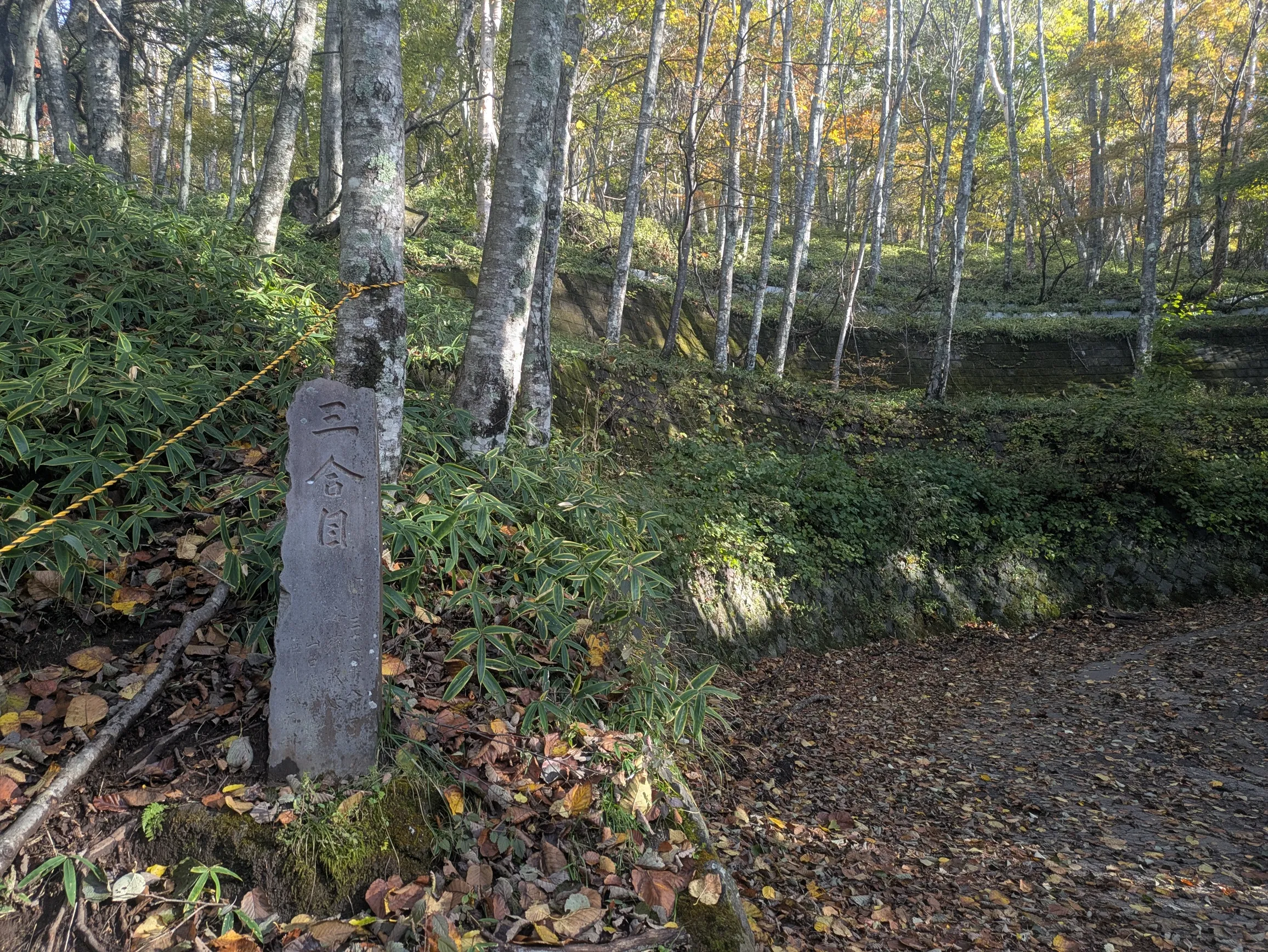 たむら鍼灸整骨院のイメージ