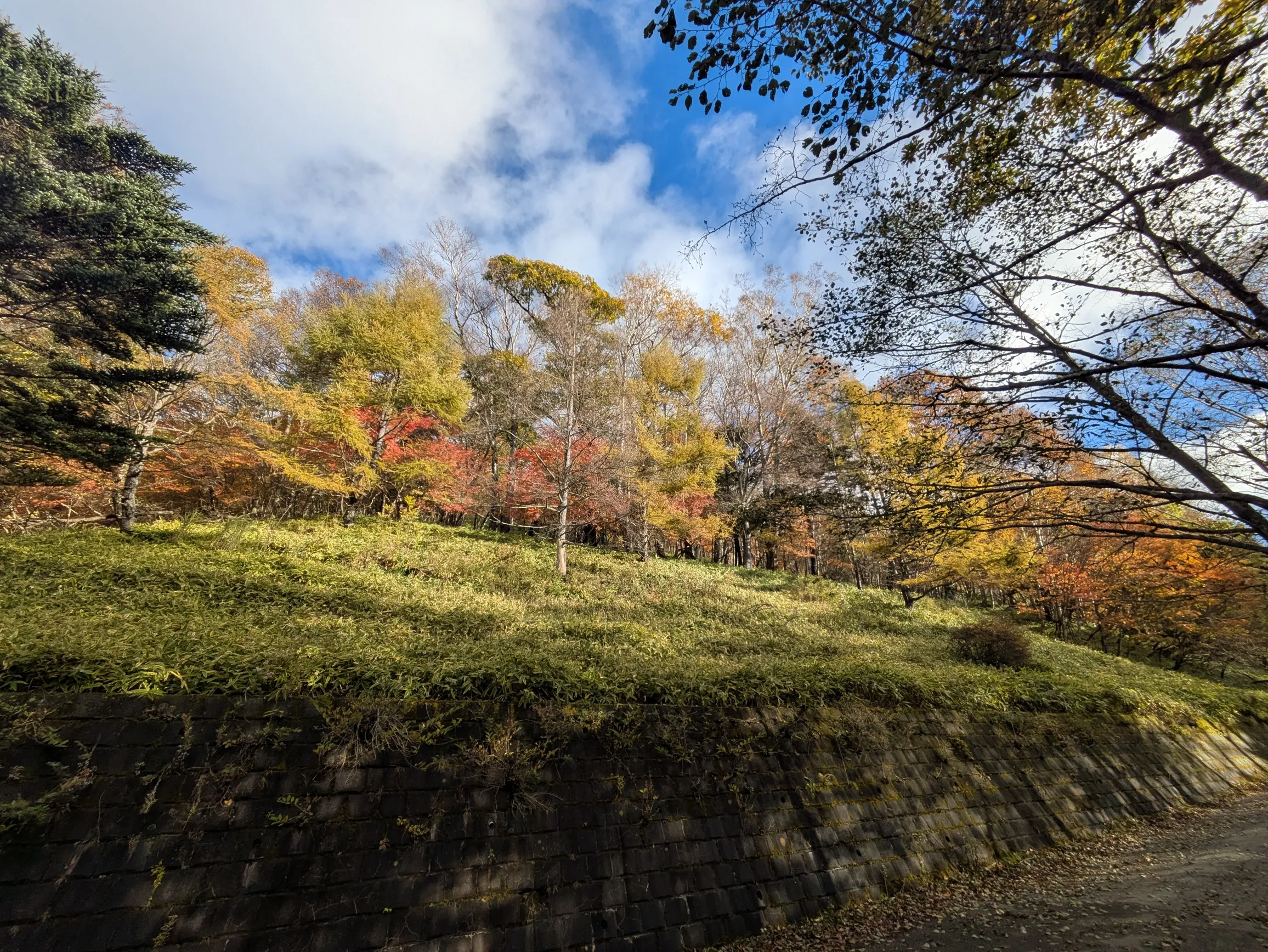 たむら鍼灸整骨院のイメージ