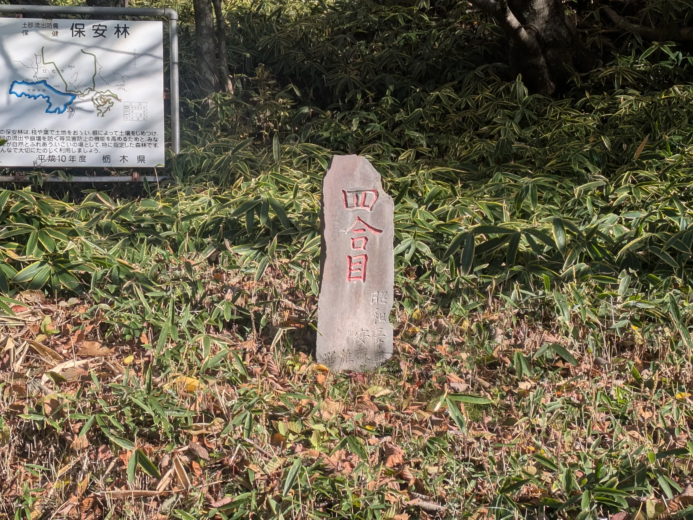 たむら鍼灸整骨院のイメージ