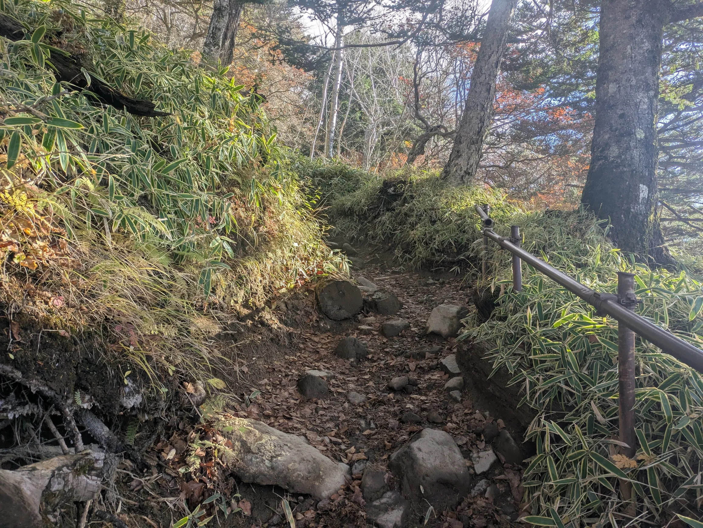たむら鍼灸整骨院のイメージ