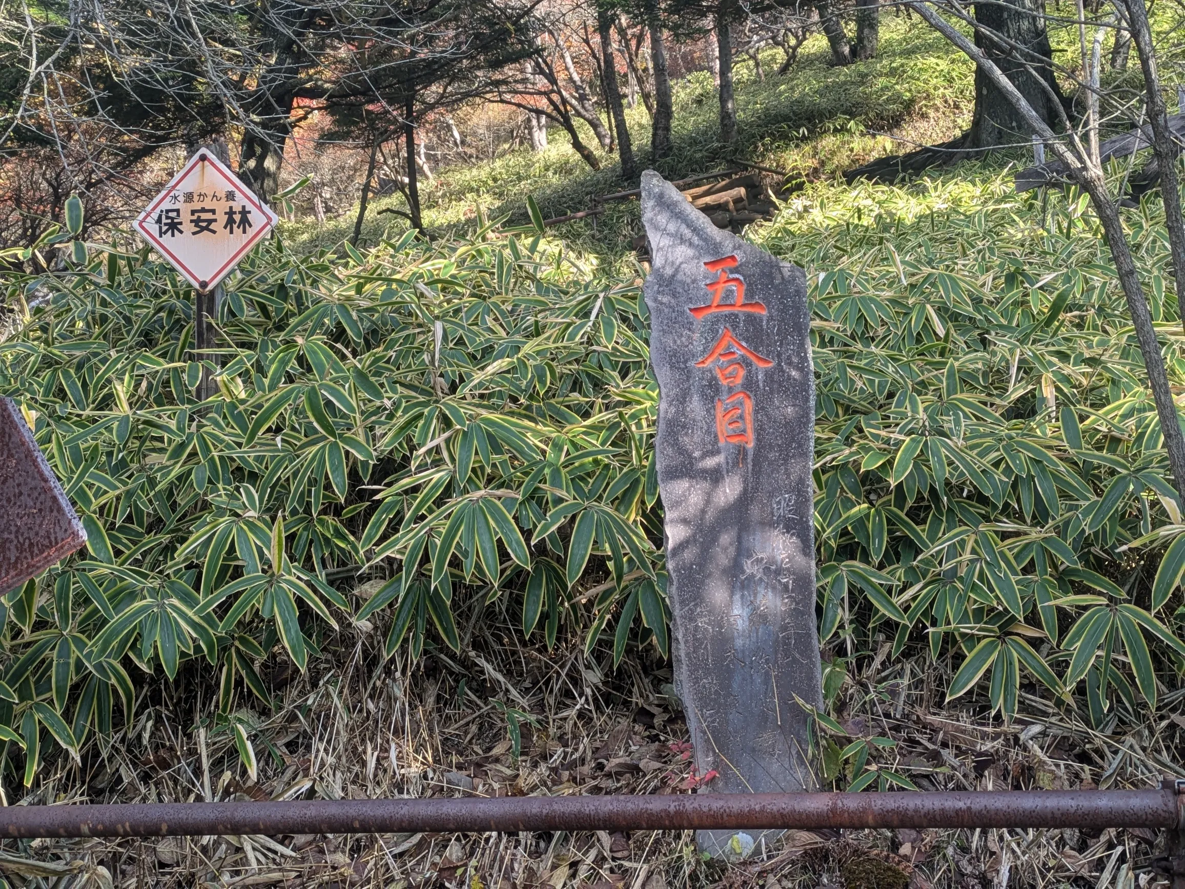 たむら鍼灸整骨院のイメージ